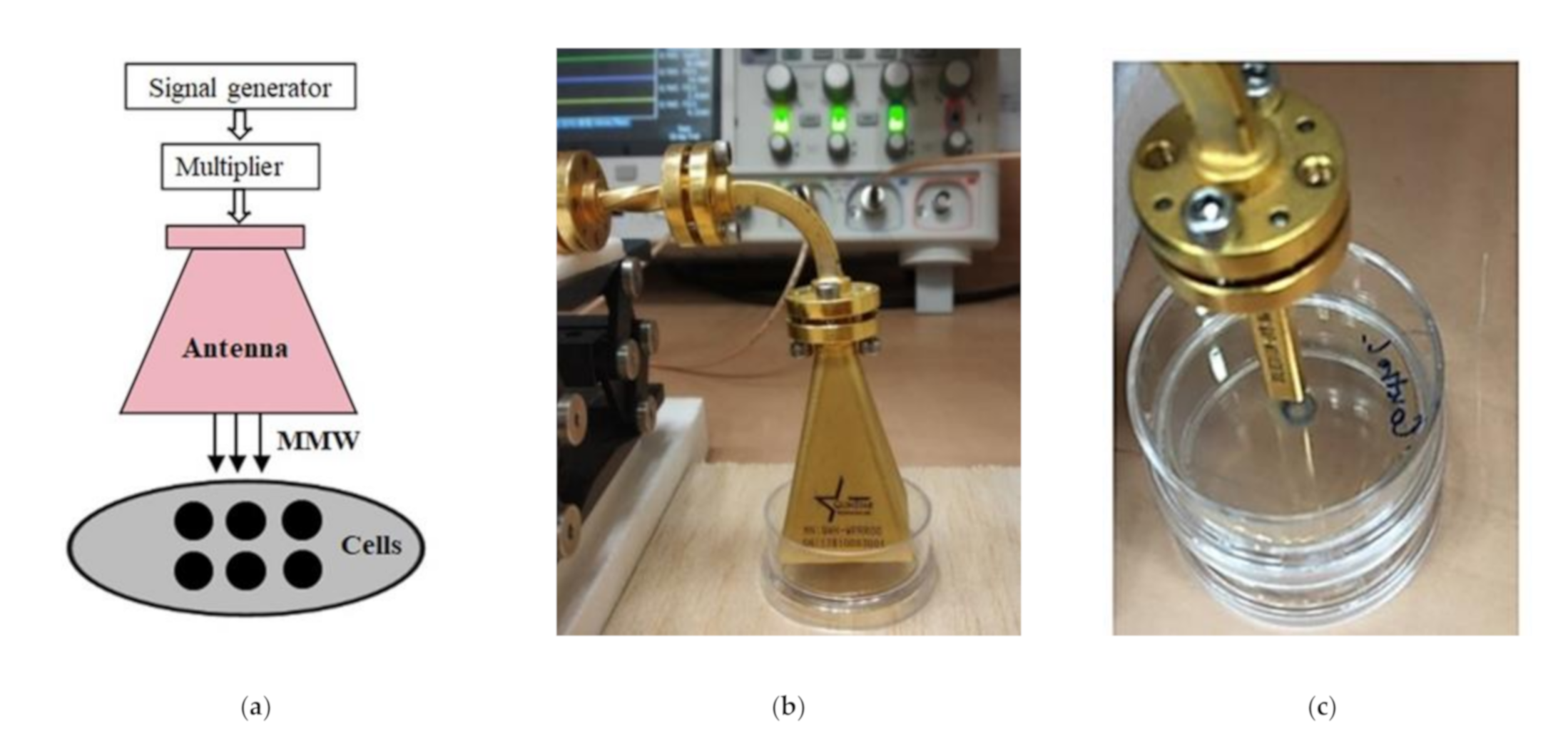 Applsci 11 06635 g005 Applsci 11 06635 g005