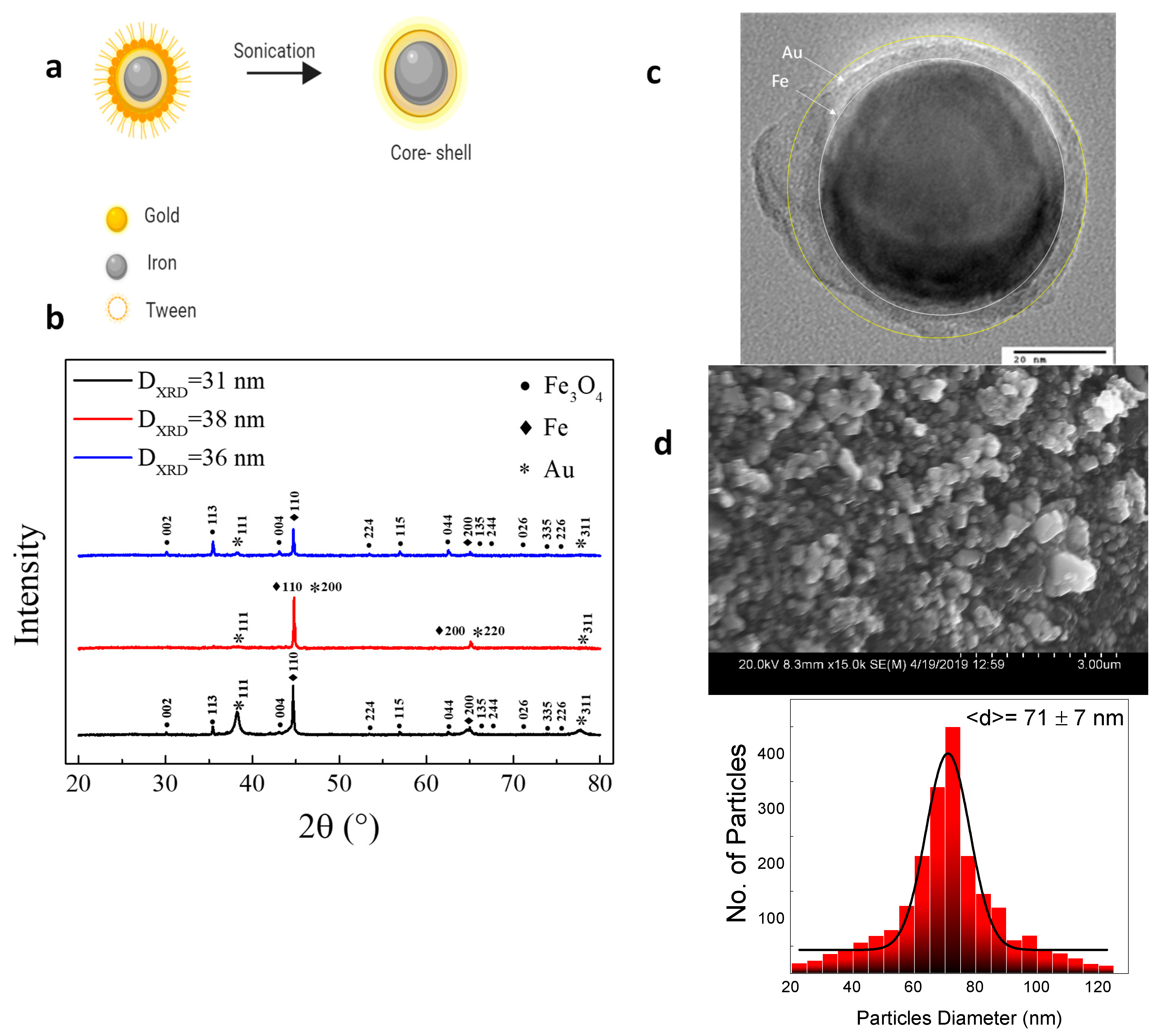 Applsci 11 06637 g001 550