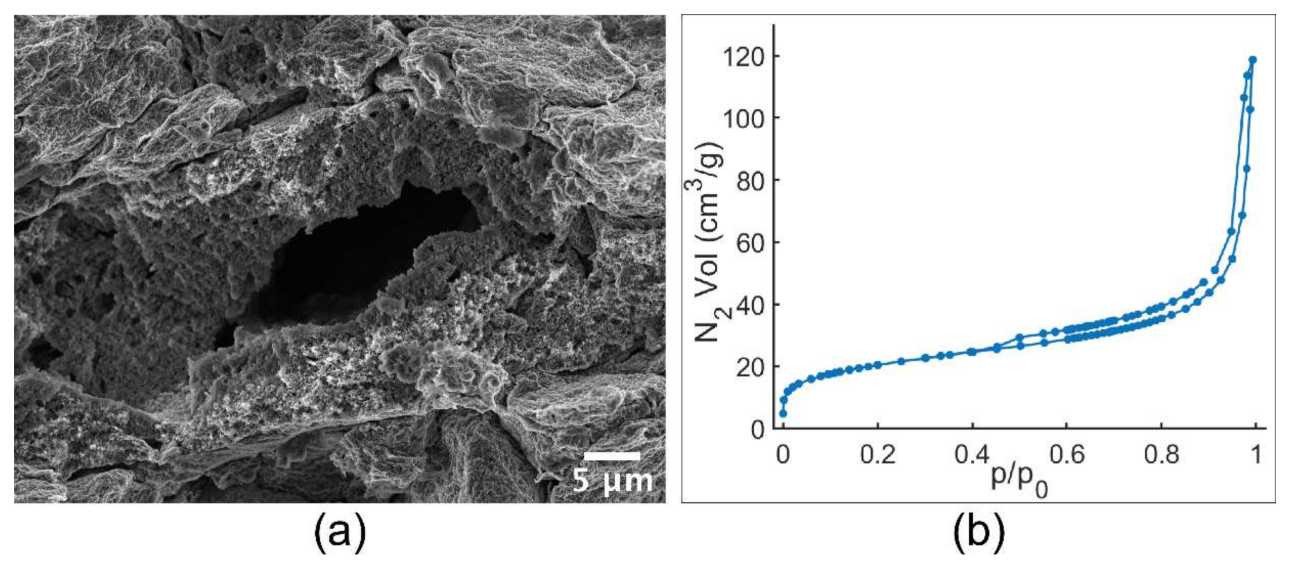 Applsci 11 06639 g003 550