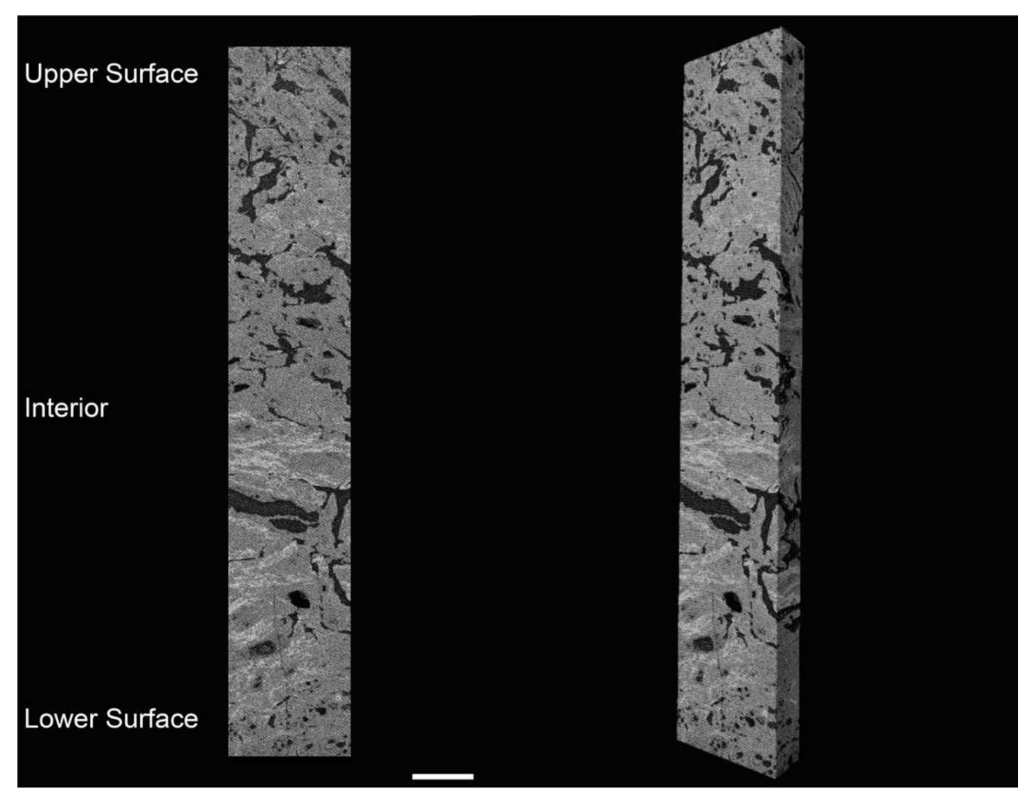 Applsci 11 06639 g004 550