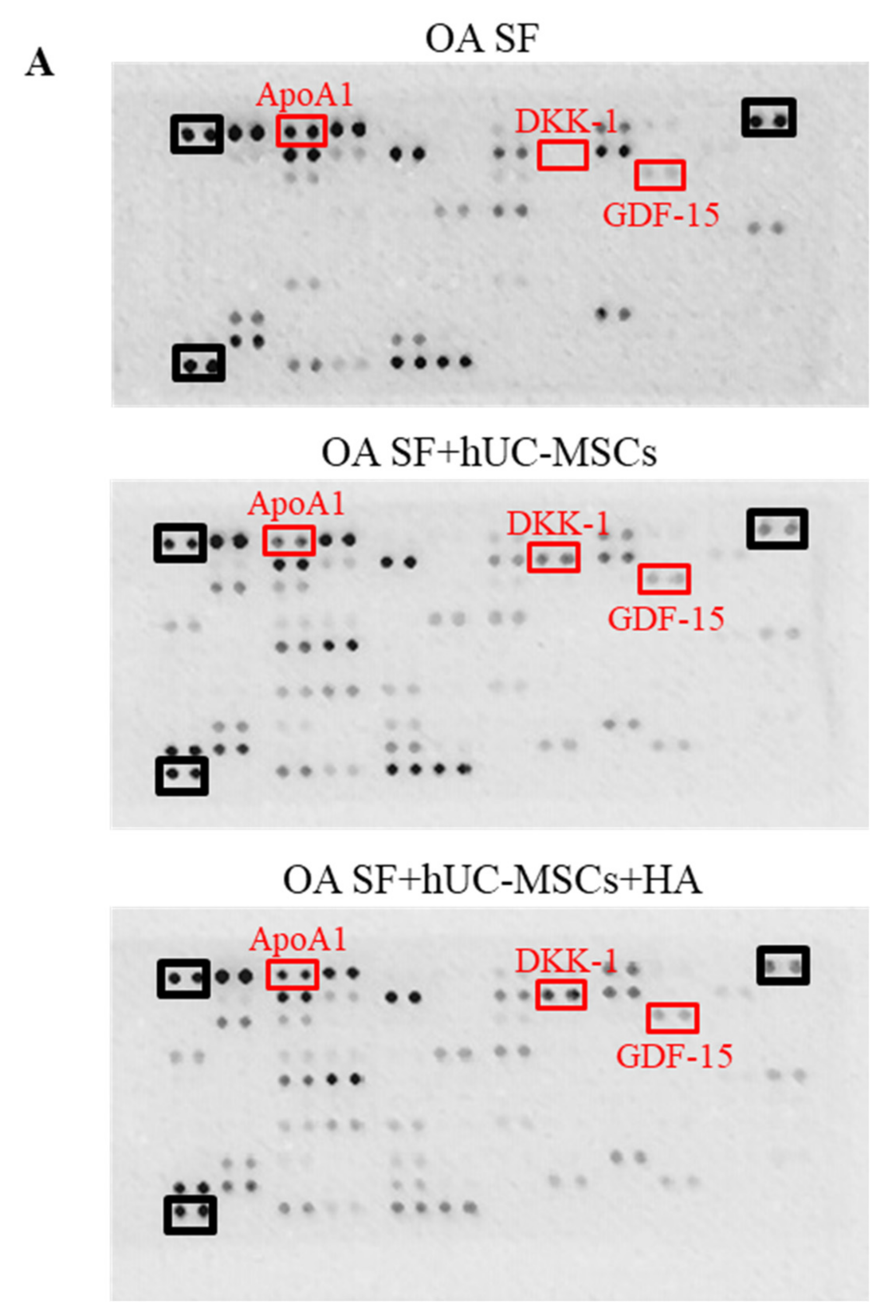 Applsci 11 06650 g003a