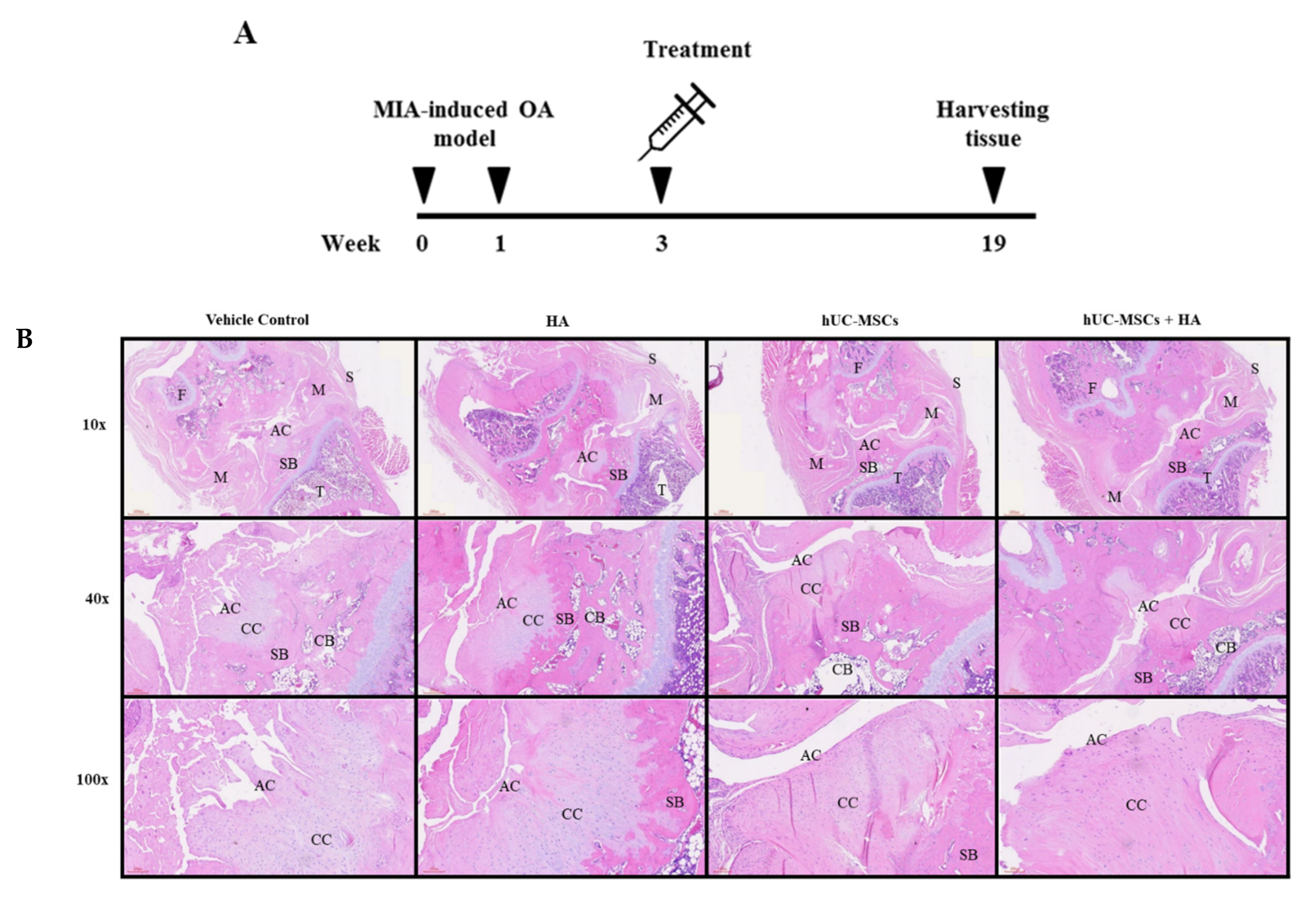 Applsci 11 06650 g005a