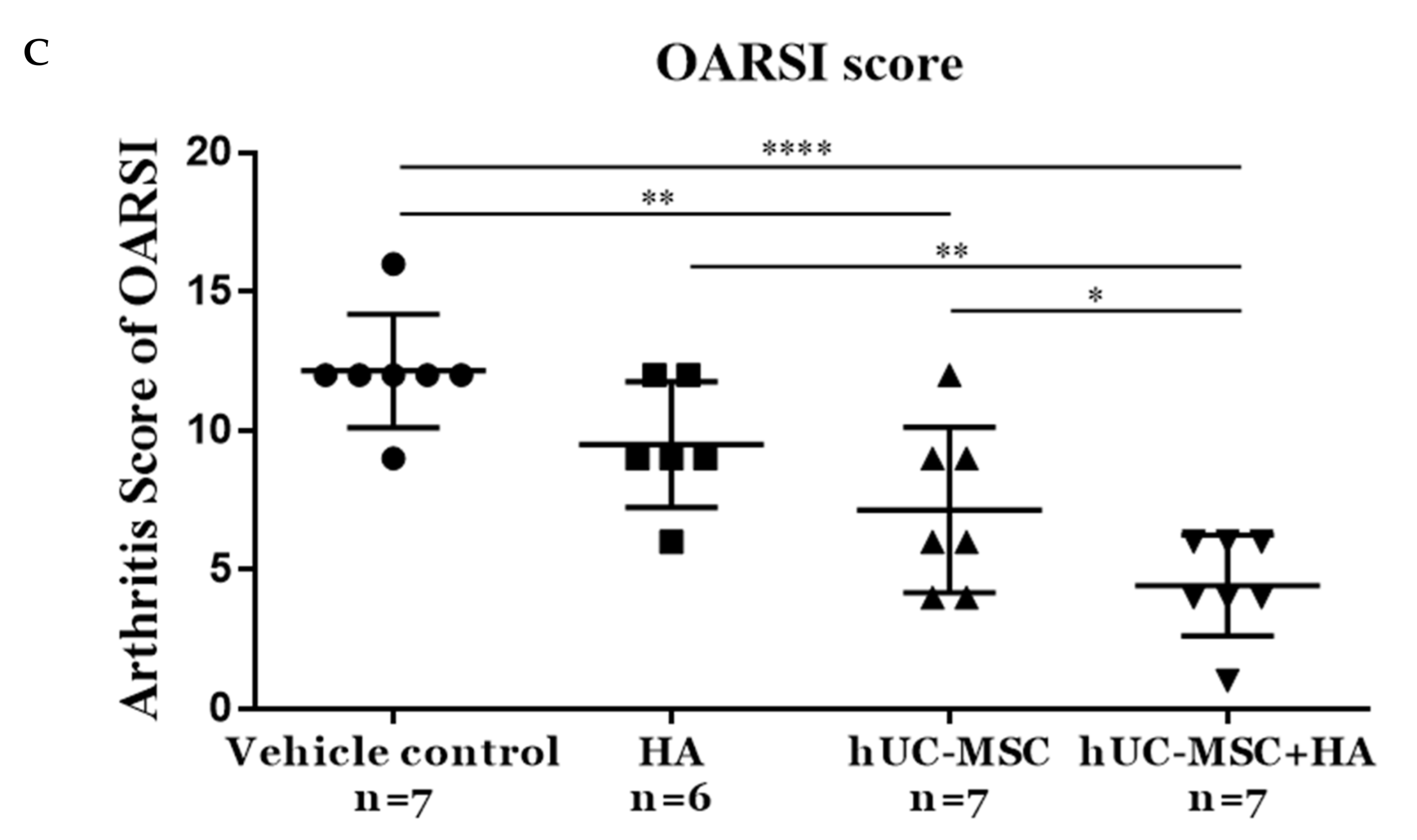 Applsci 11 06650 g005b