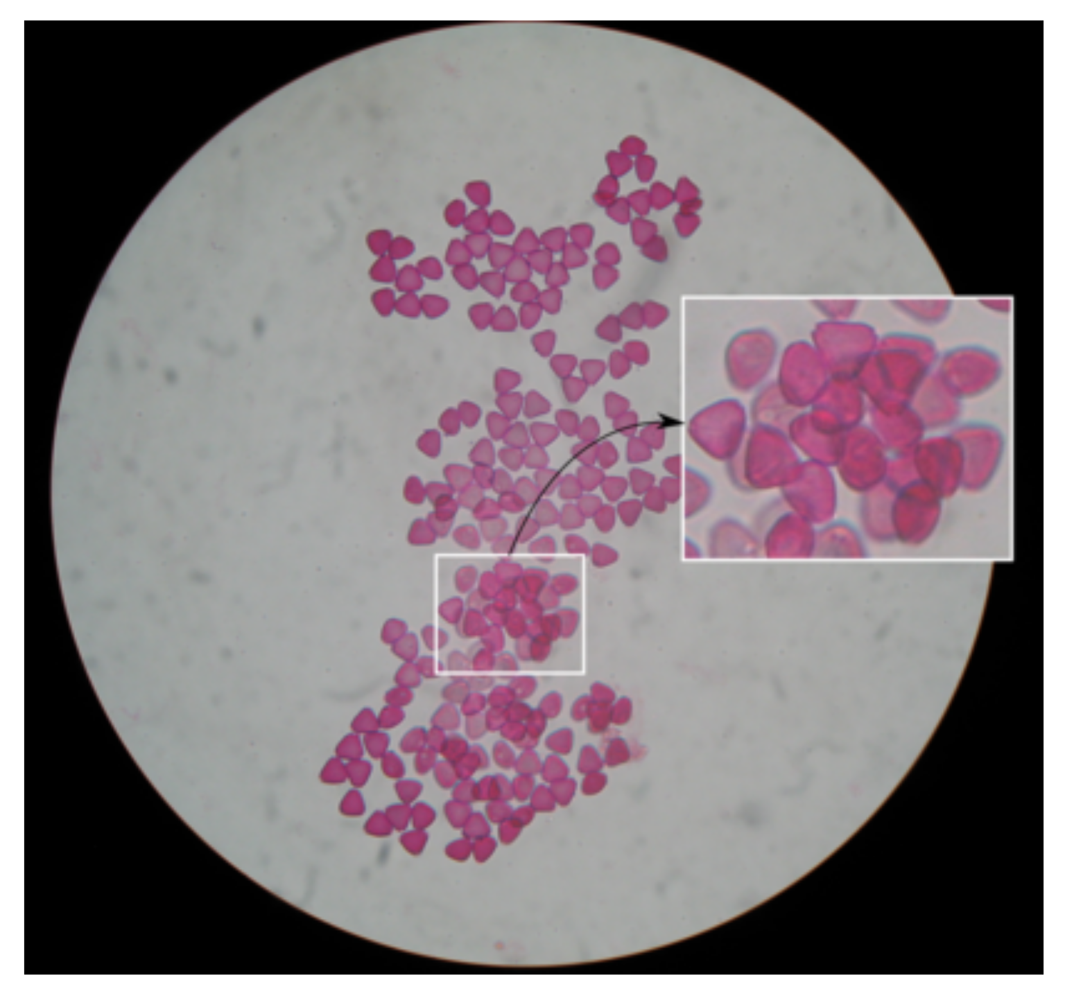 Applsci 11 06657 g005 550