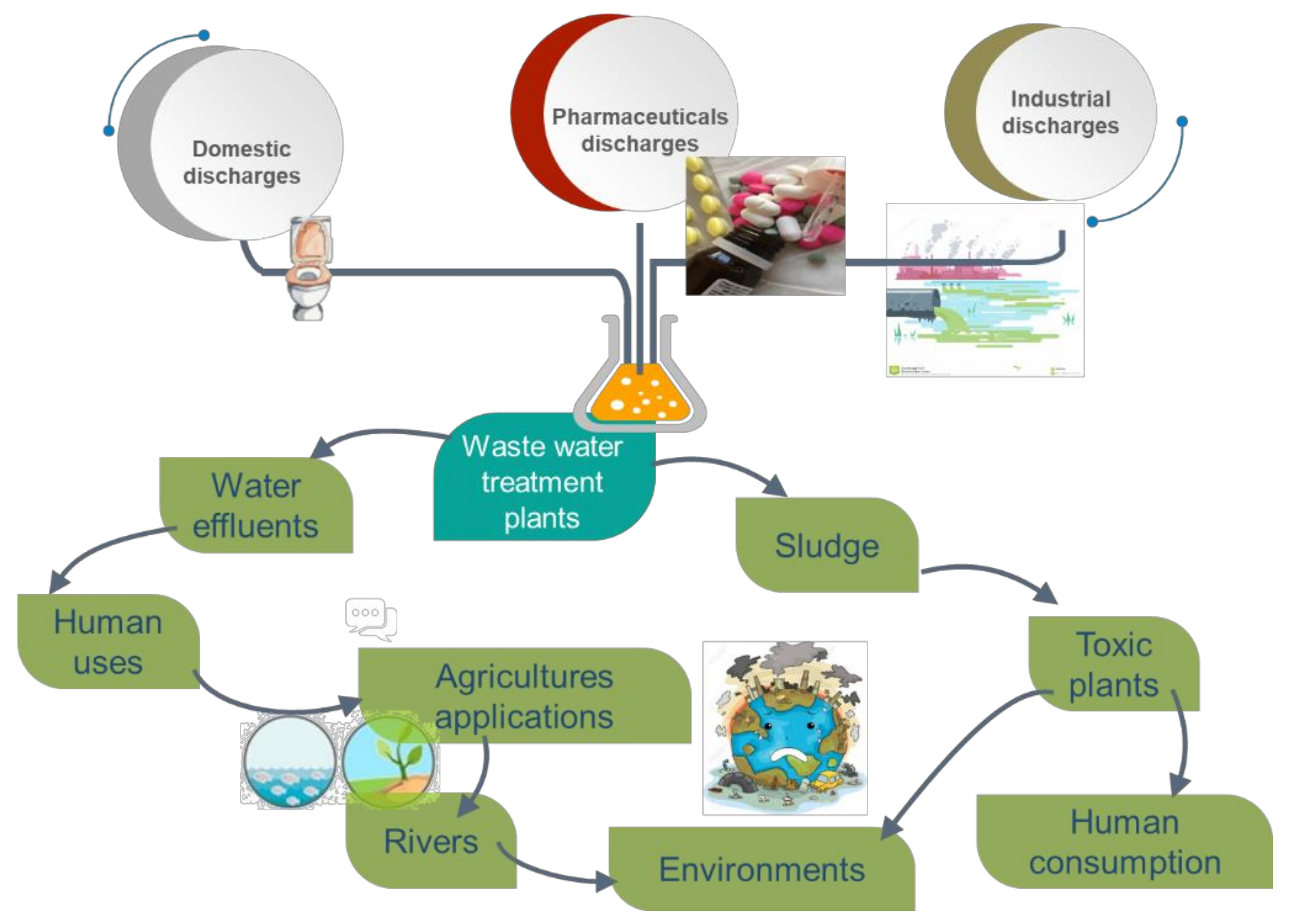 Sulfachloropyridazine (SCP) effects on anaerobic microorganisms