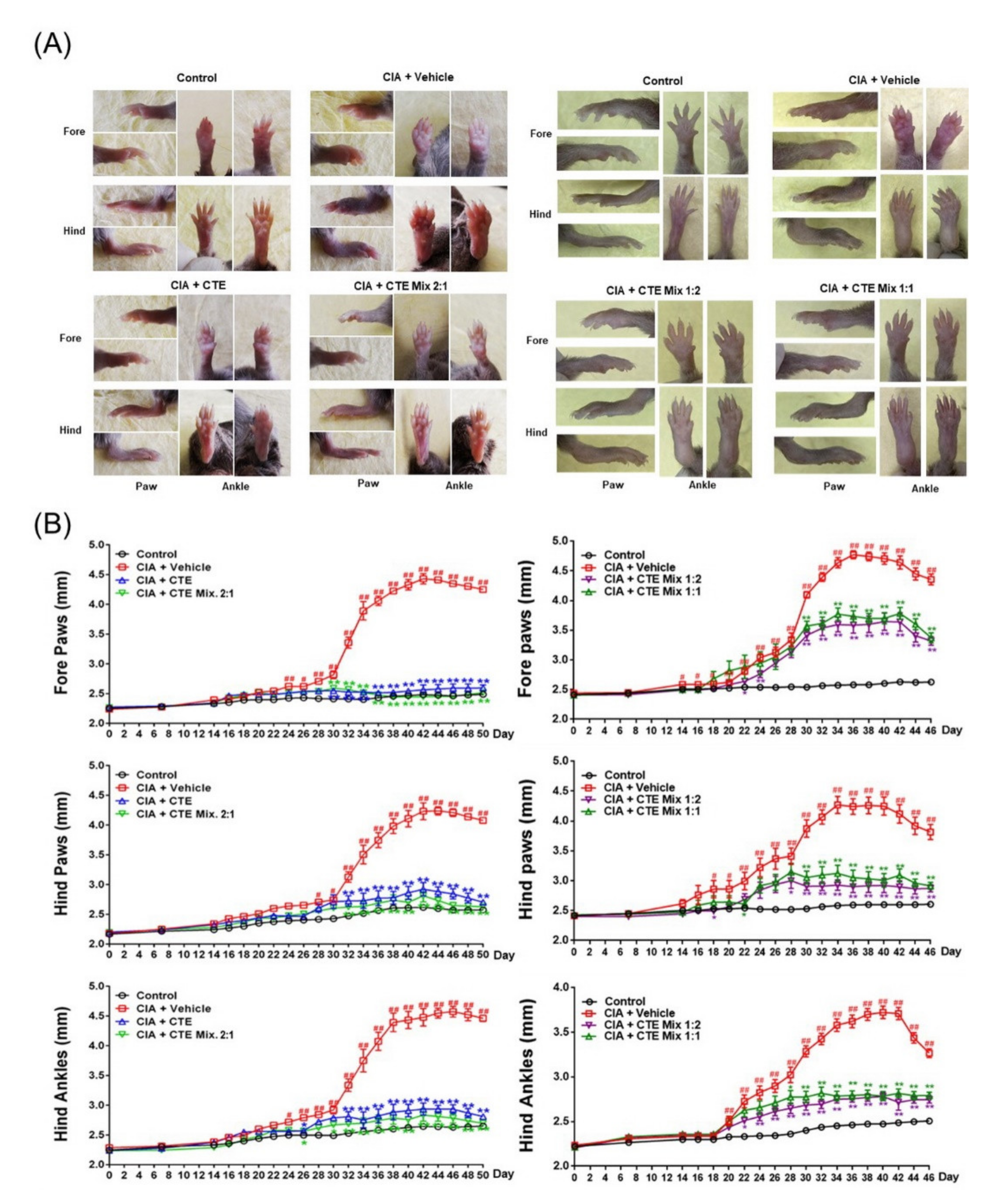 Applsci 11 06660 g004