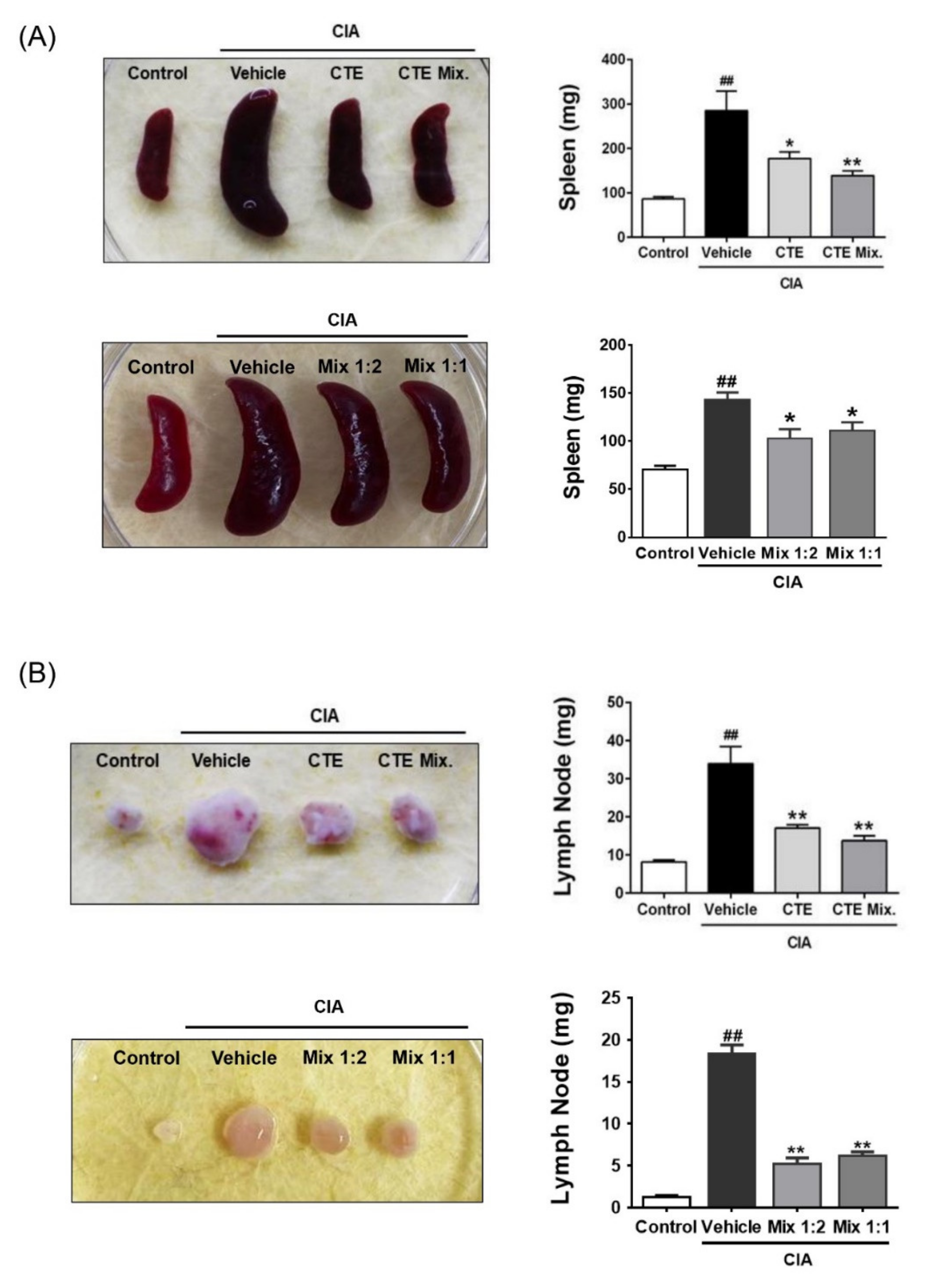 Applsci 11 06660 g005