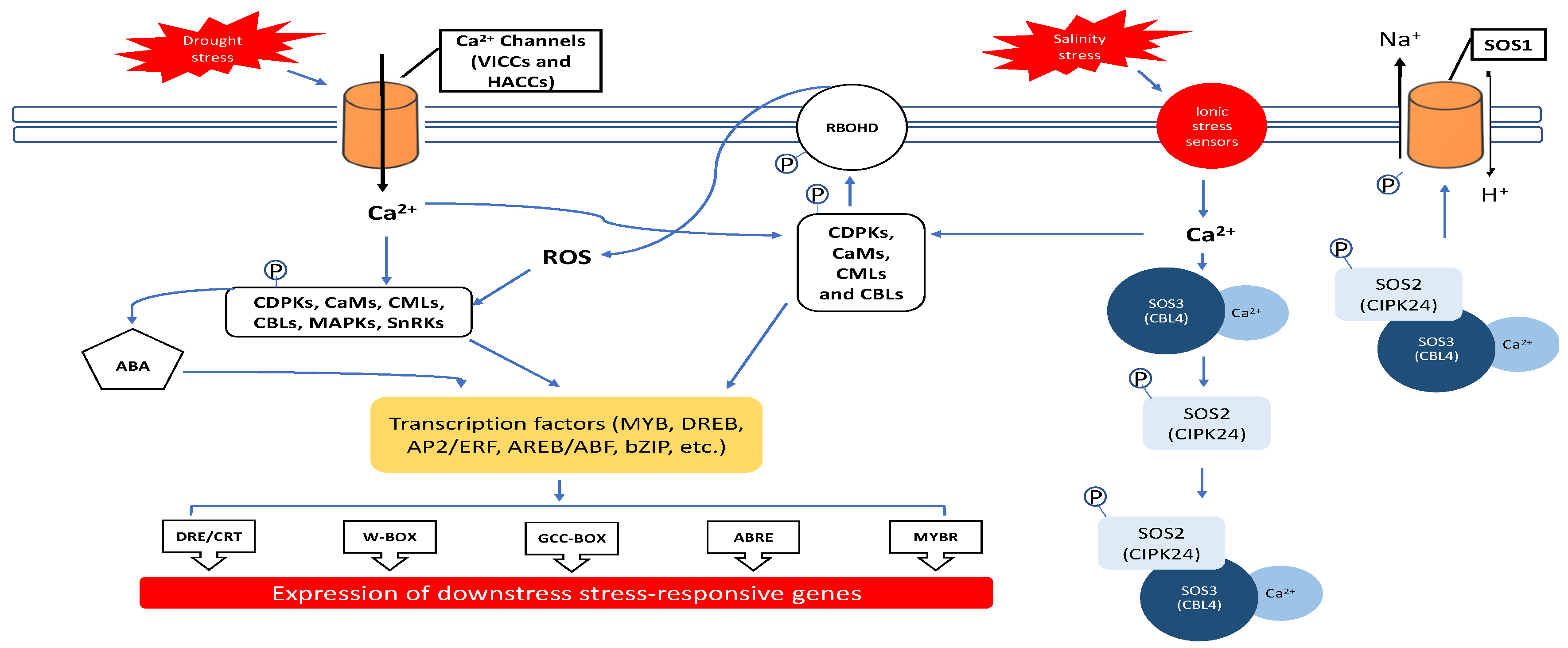 Applsci 11 06668 g001 550