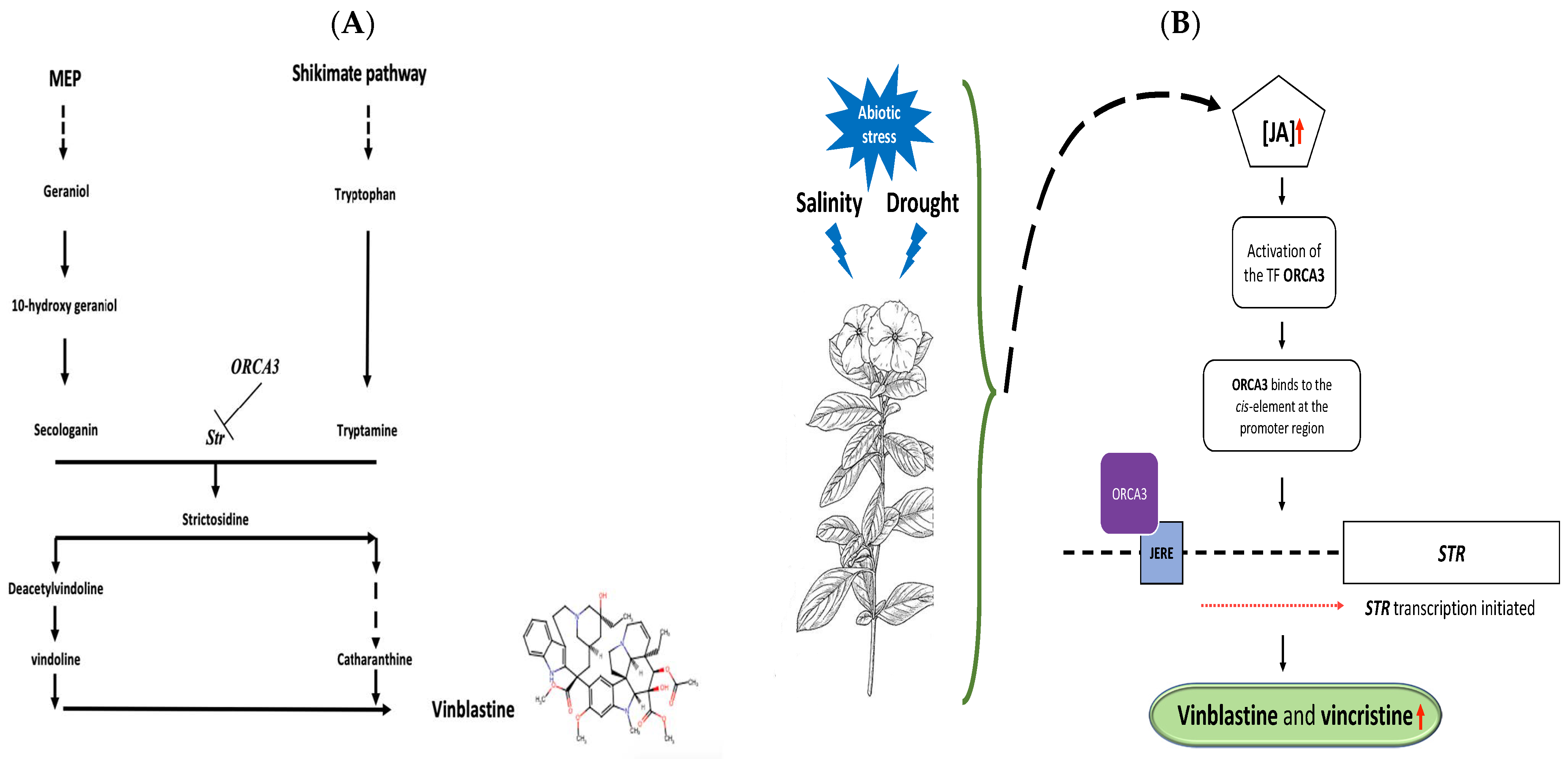 Applsci 11 06668 g002 550