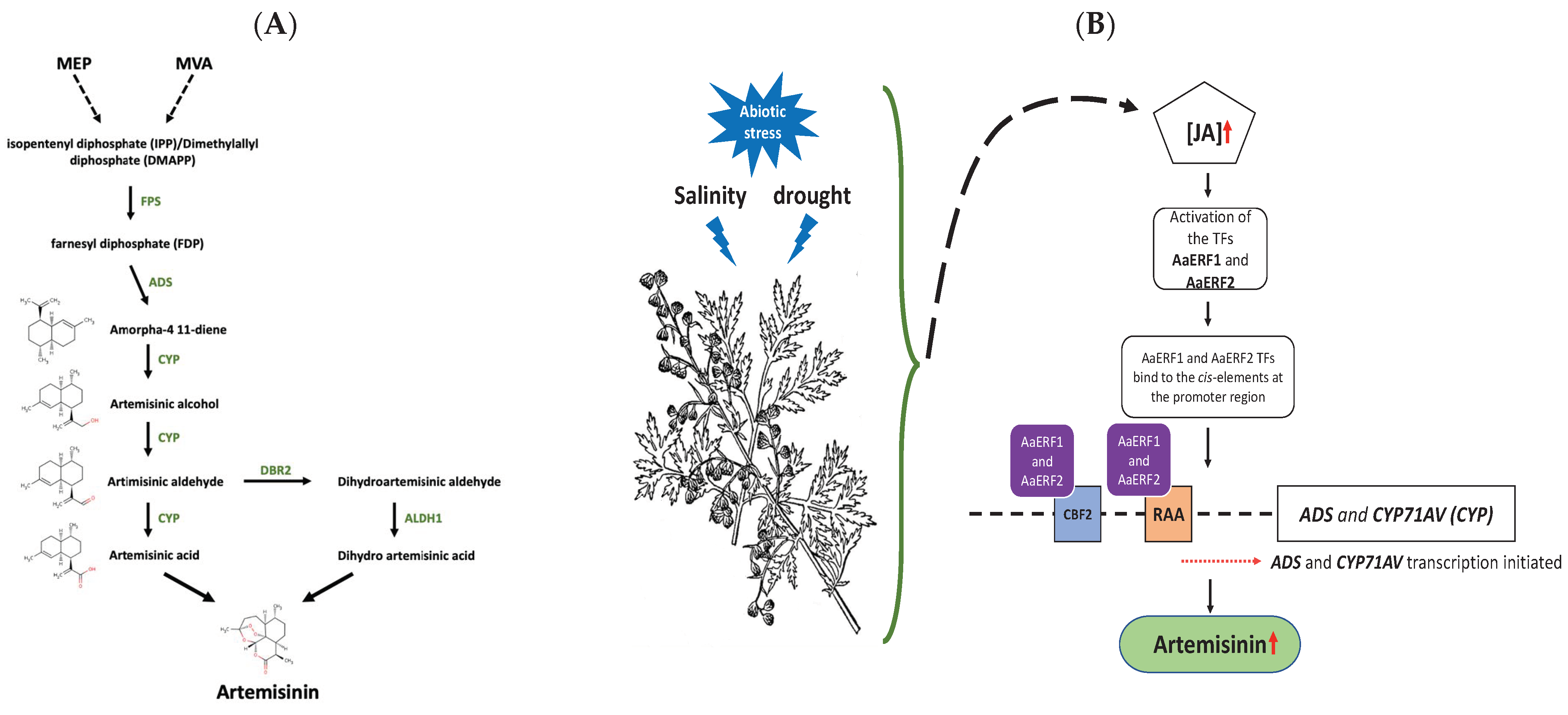 Applsci 11 06668 g003 550