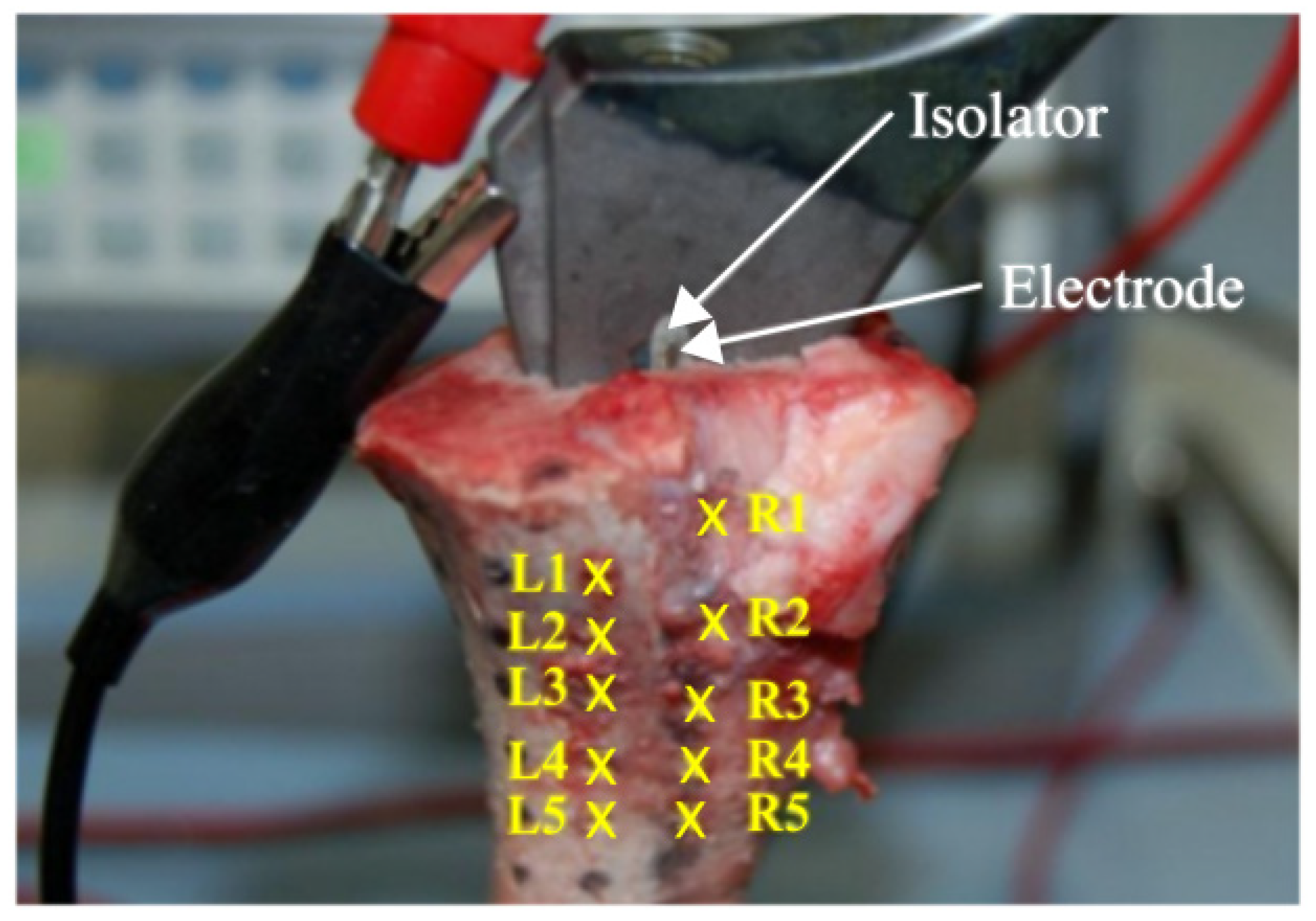 Applsci 11 06677 g002
