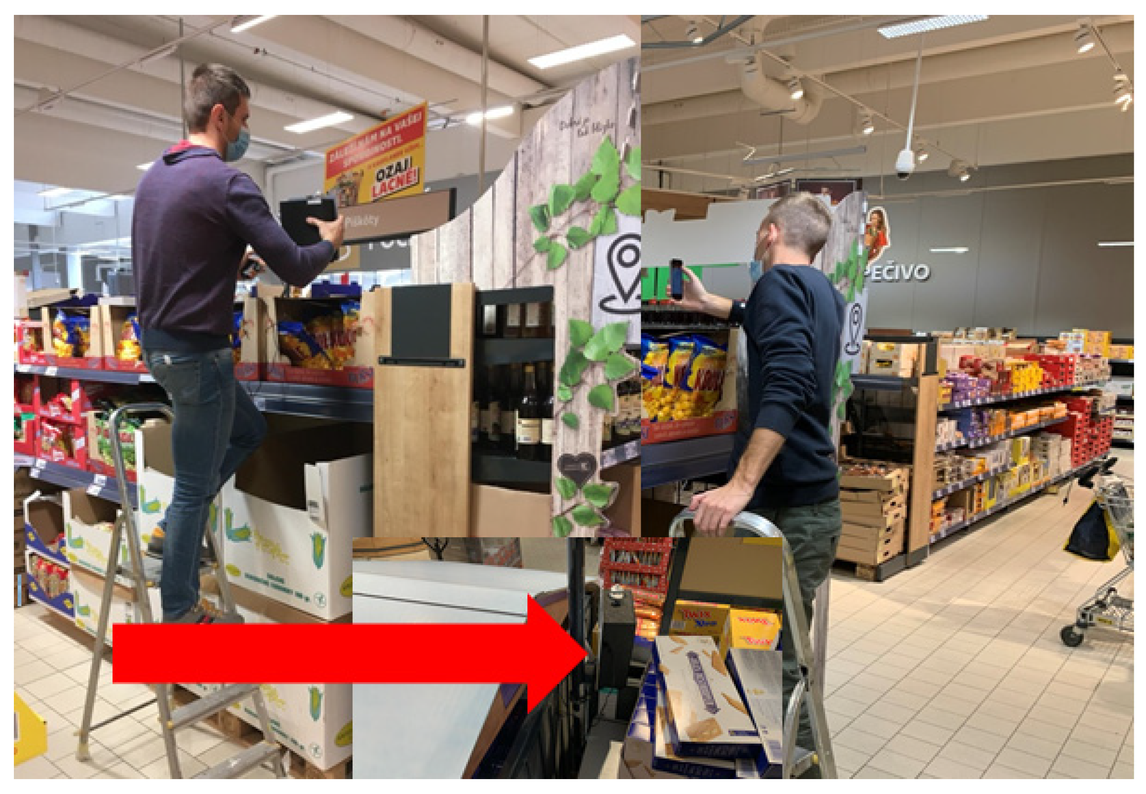 Applsci 11 06692 g002 Applsci 11 06692 g002