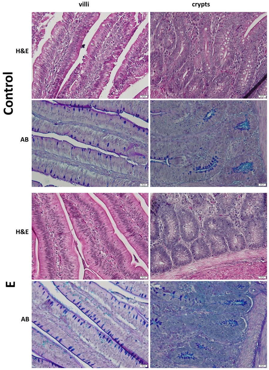 Applsci 11 06714 g001 550