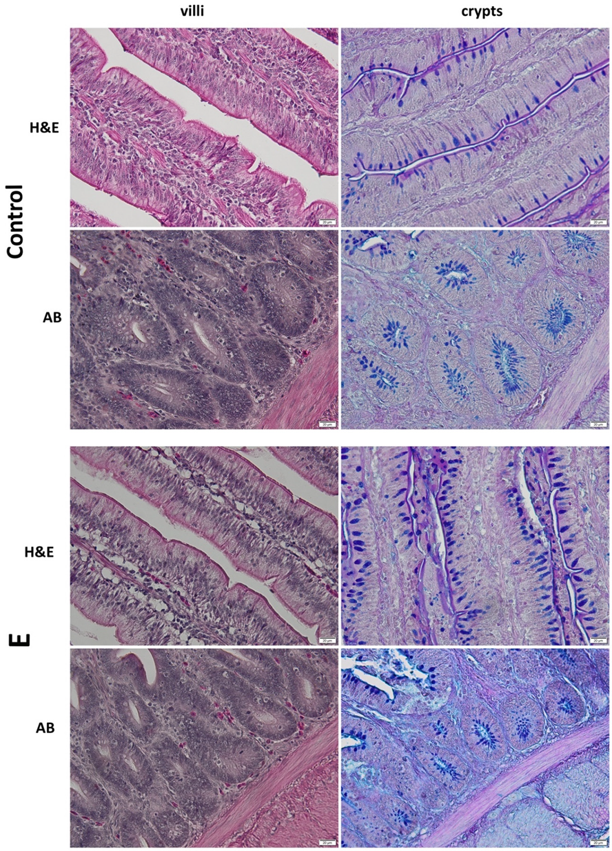 Applsci 11 06714 g002 550