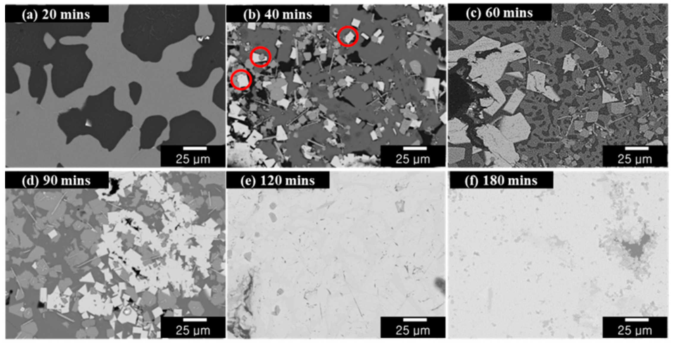 Applsci 11 06739 g009 550