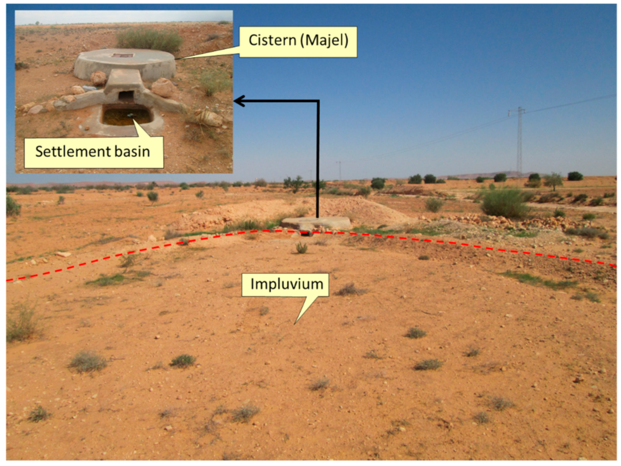 Applsci 11 06763 g006