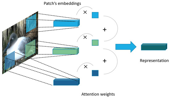 Revisiting Low-Resolution Images Retrieval with Attention Mechanism and ...
