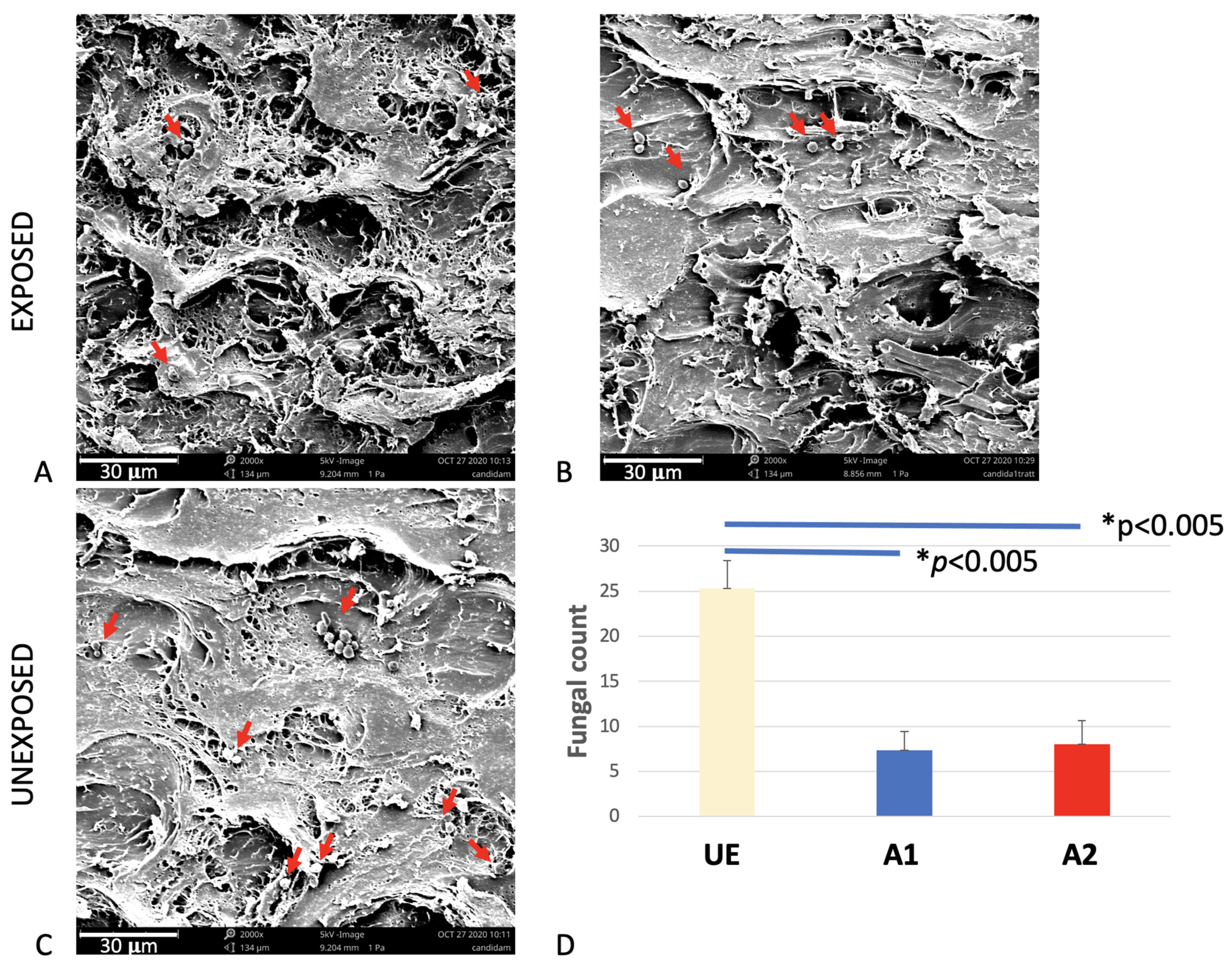 Applsci 11 06786 g003