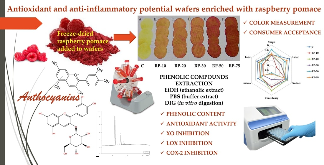 Applied Sciences | Free Full-Text | Antioxidant and Anti-Inflammatory ...