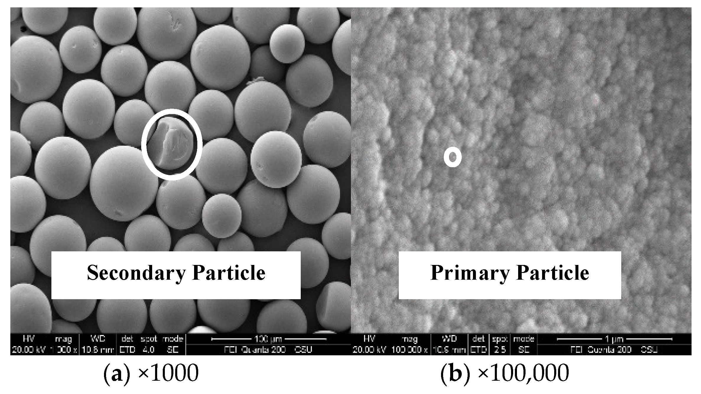 Applsci 11 06808 g002