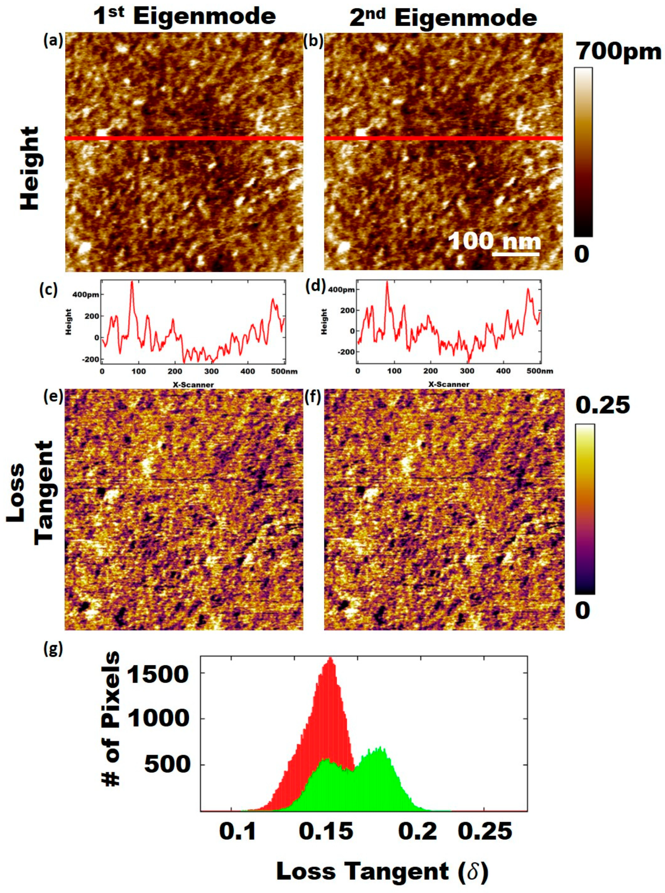 Applsci 11 06813 g001 550