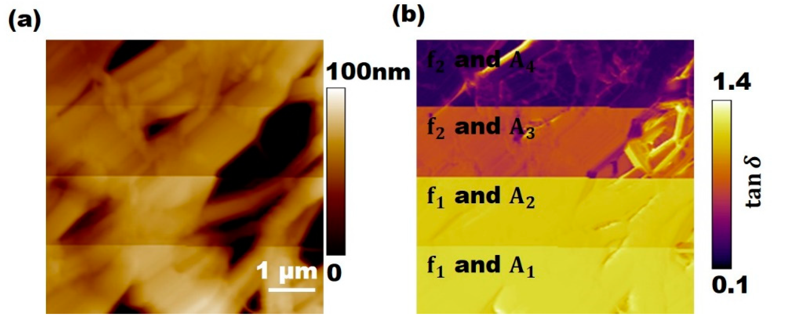Applsci 11 06813 g003 550