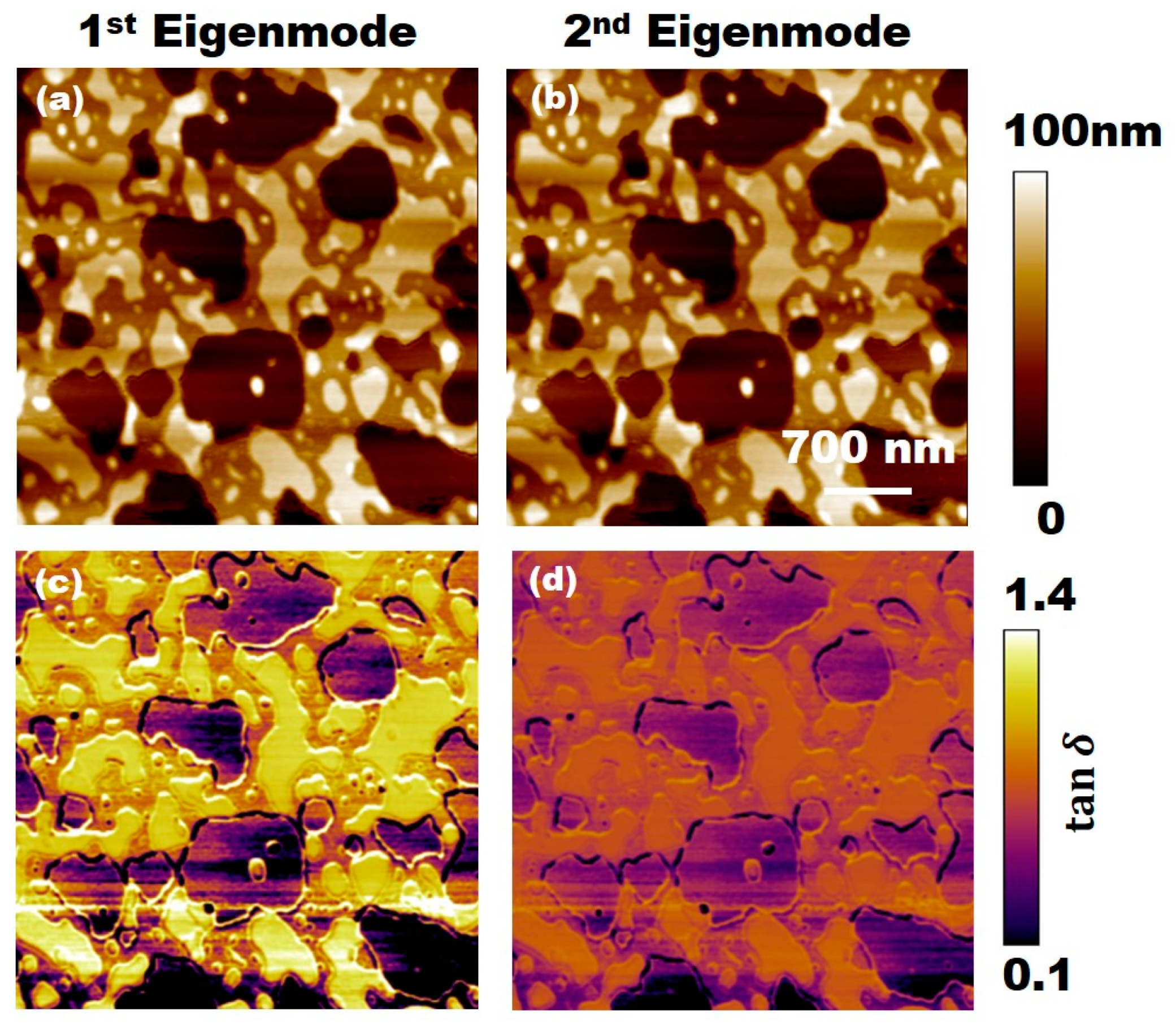 Applsci 11 06813 g004 550