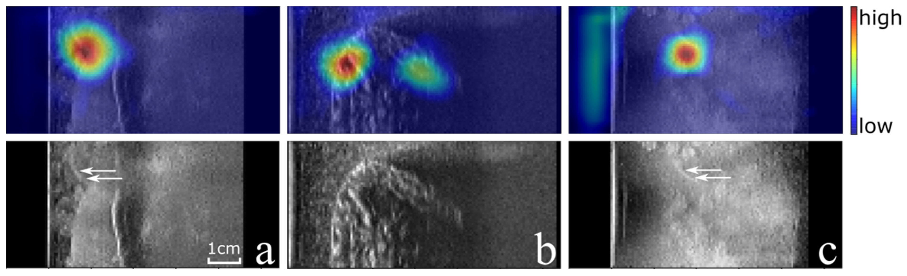 Applsci 11 06828 g005