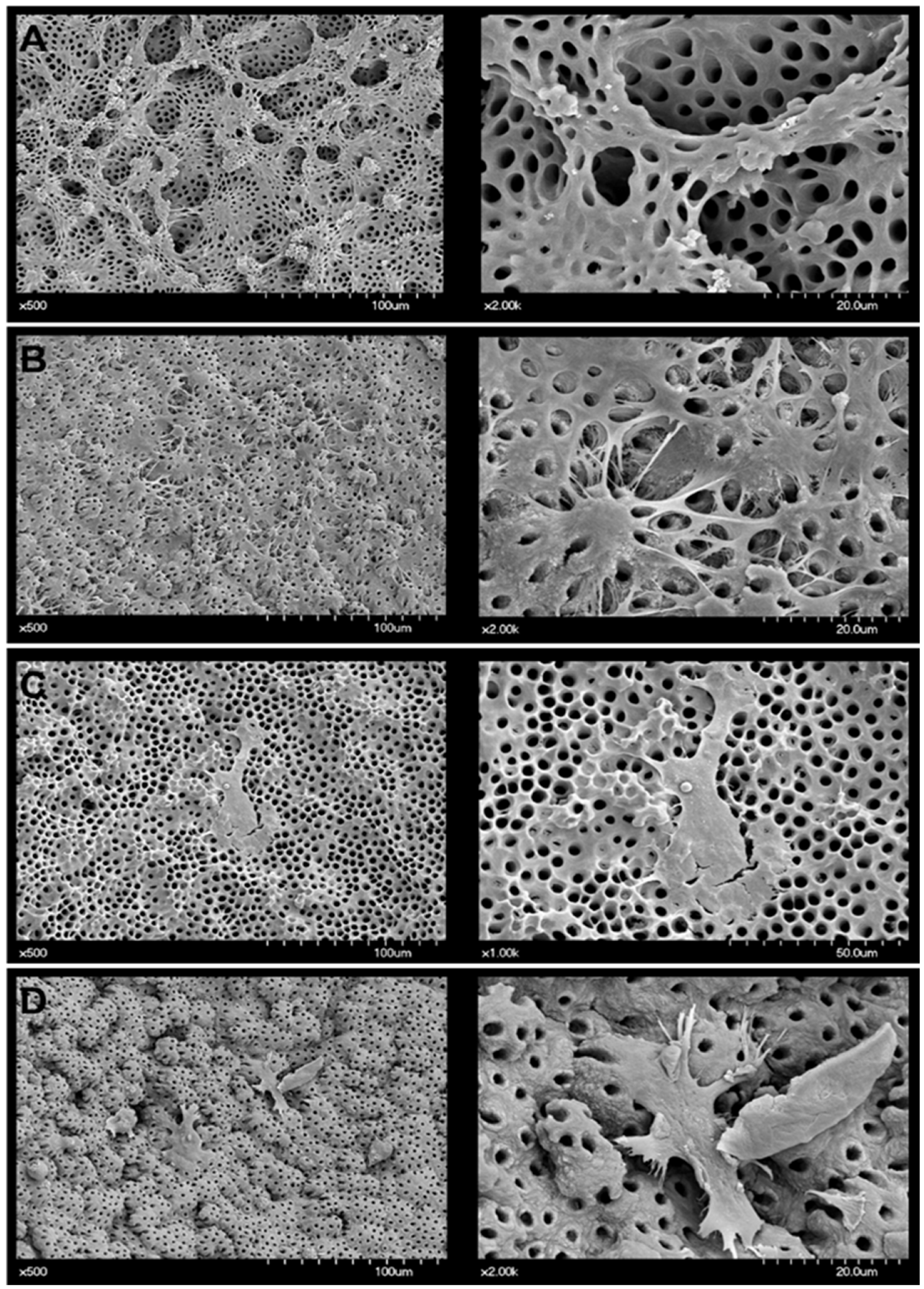 Applsci 11 06836 g003 550