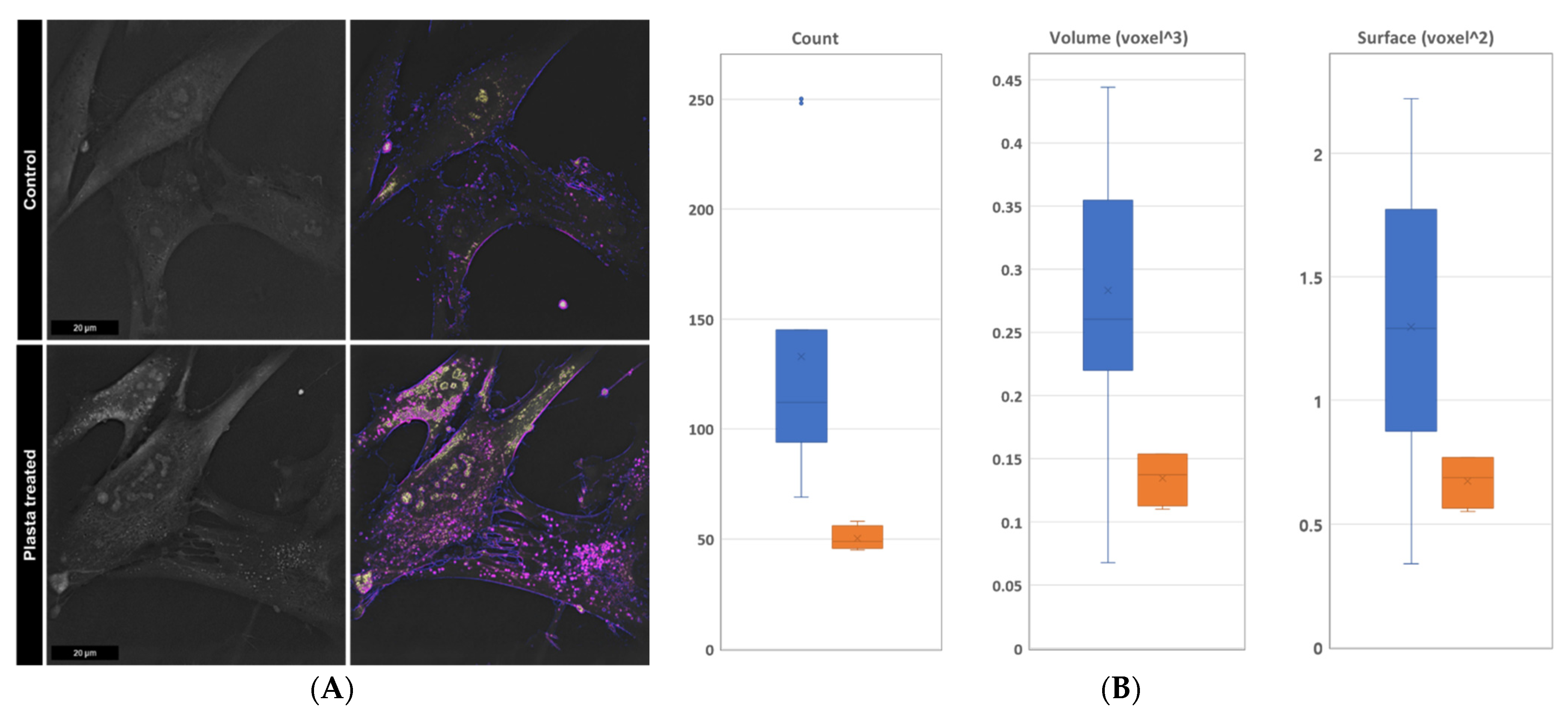 Applsci 11 06836 g004 550