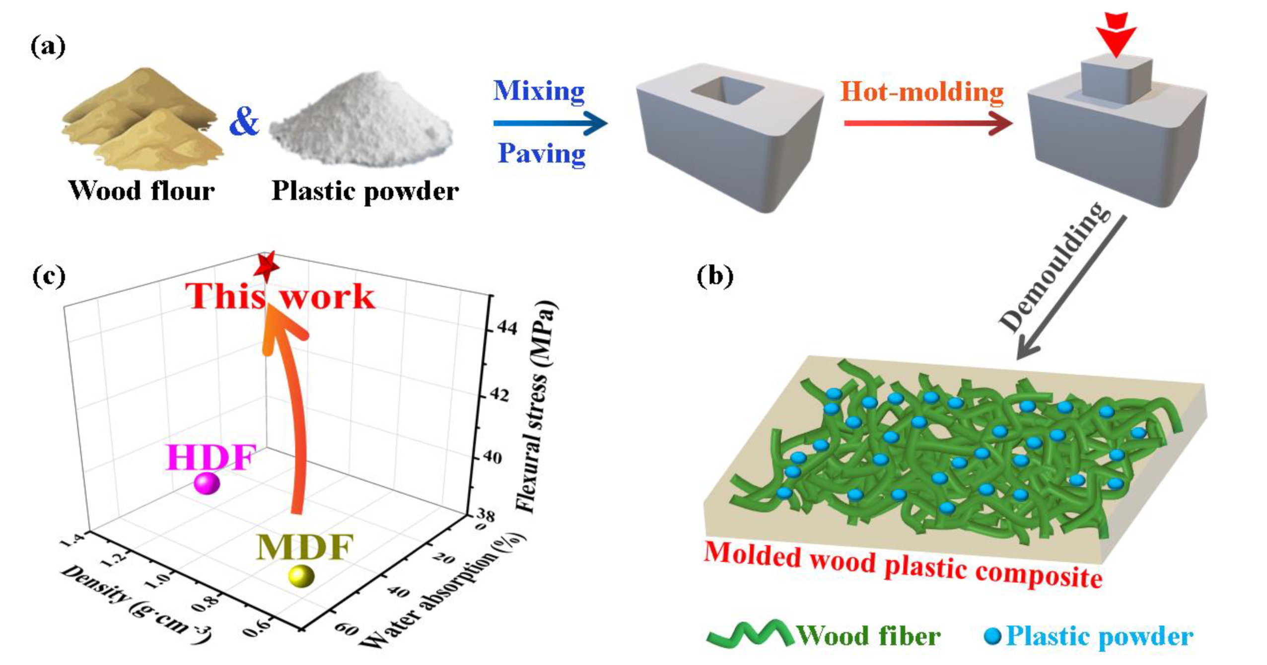 Preparation and Properties of Wood Plastic Composites with