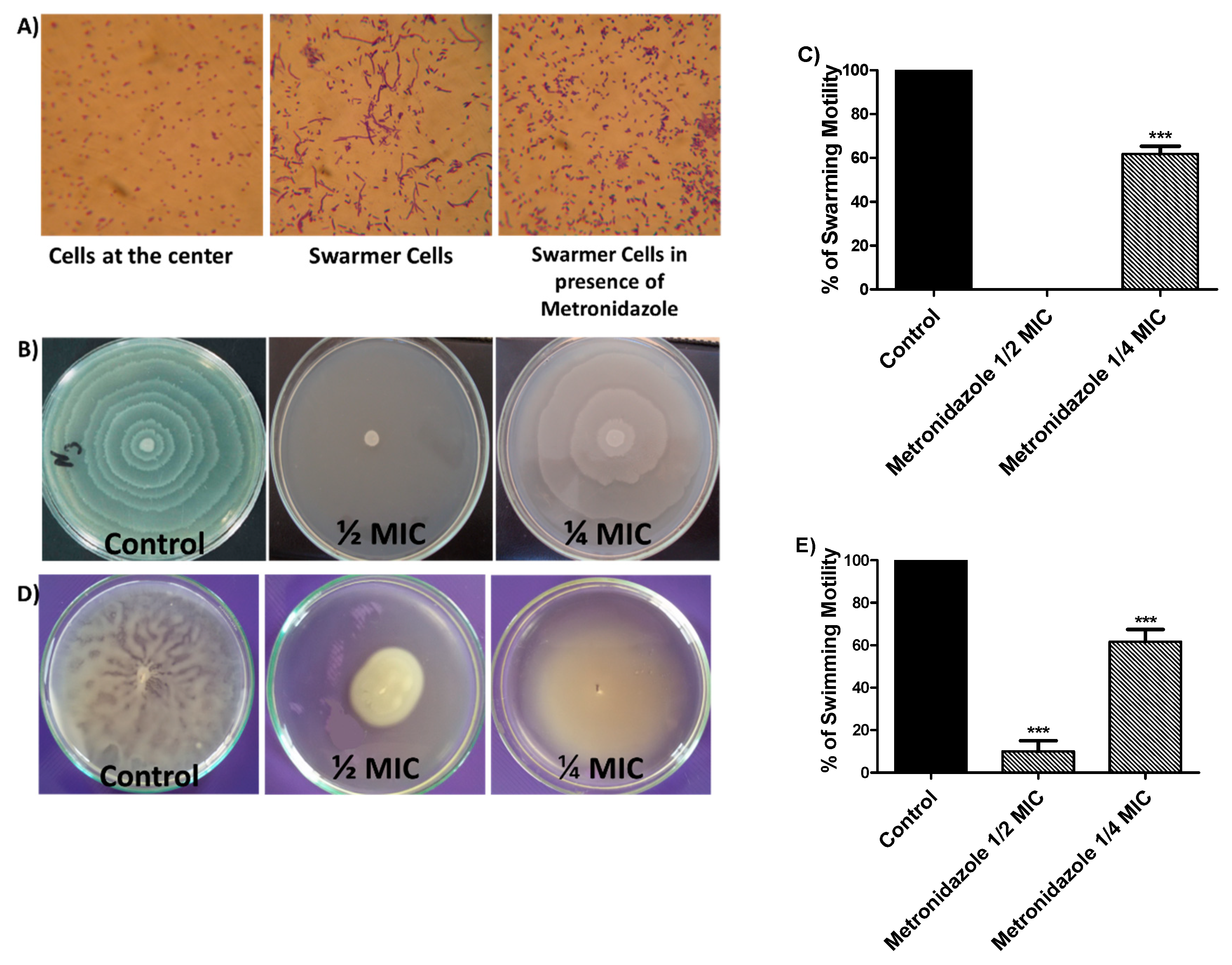 Applsci 11 06847 g003