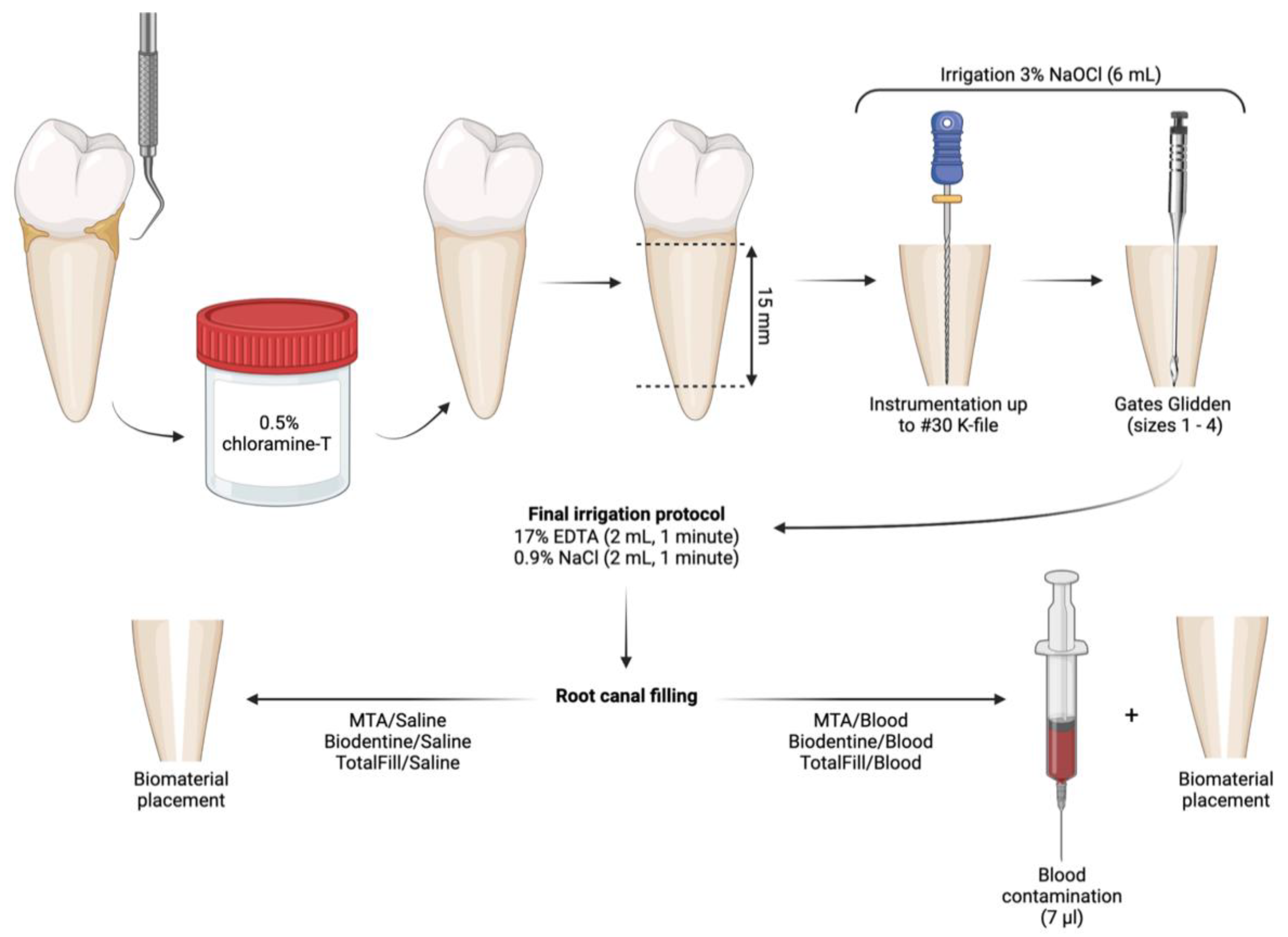 Applsci 11 06849 g001