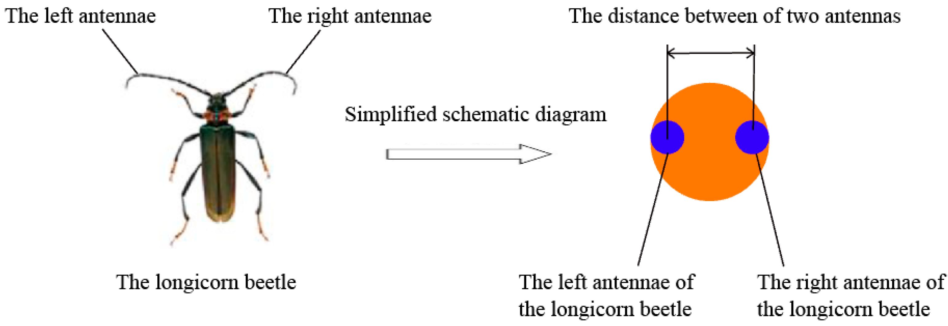 Applsci 11 06852 g005 550