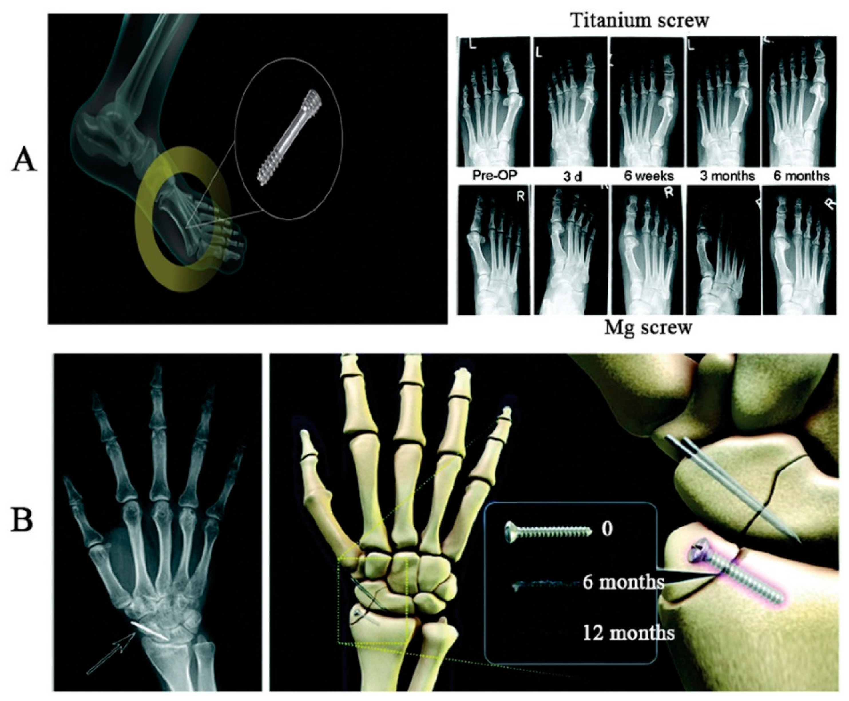 Applsci 11 06861 g004