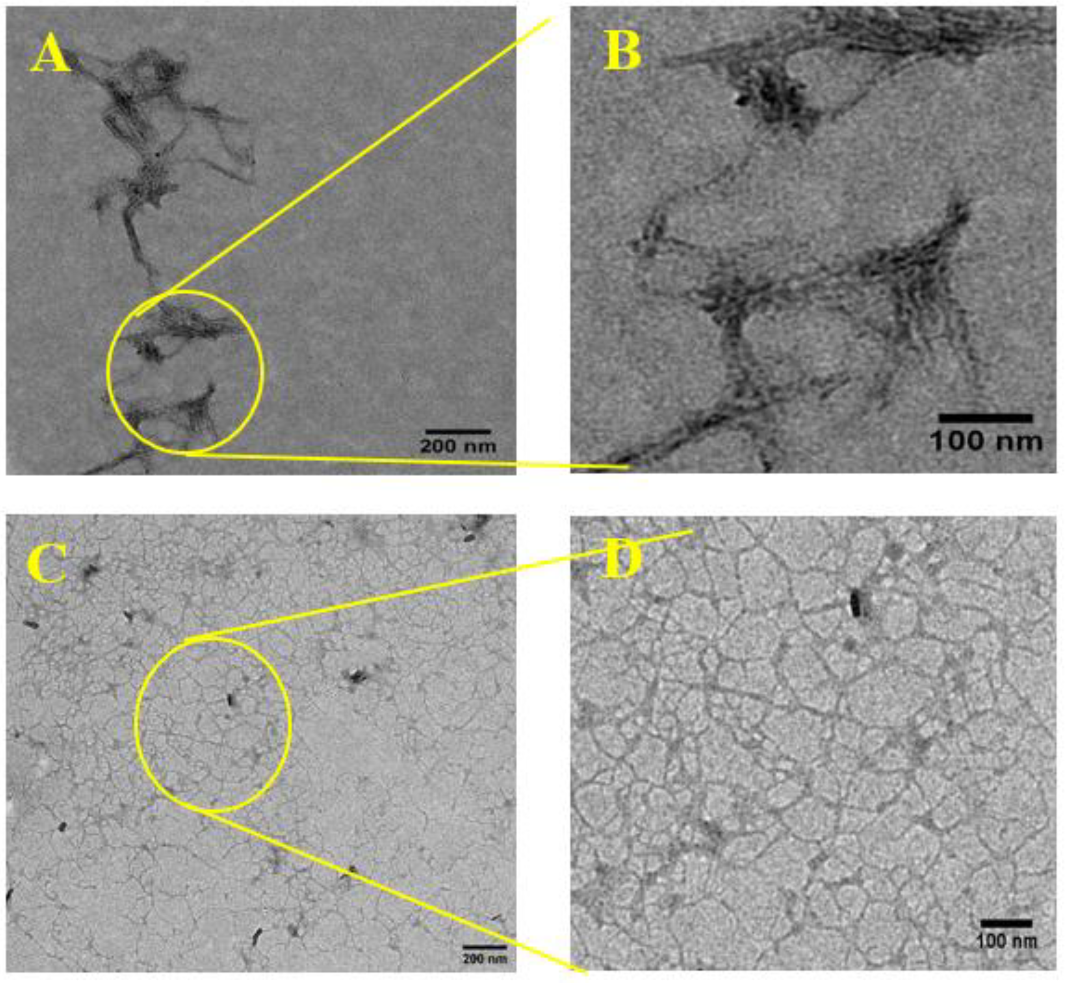 Applsci 11 06863 g002