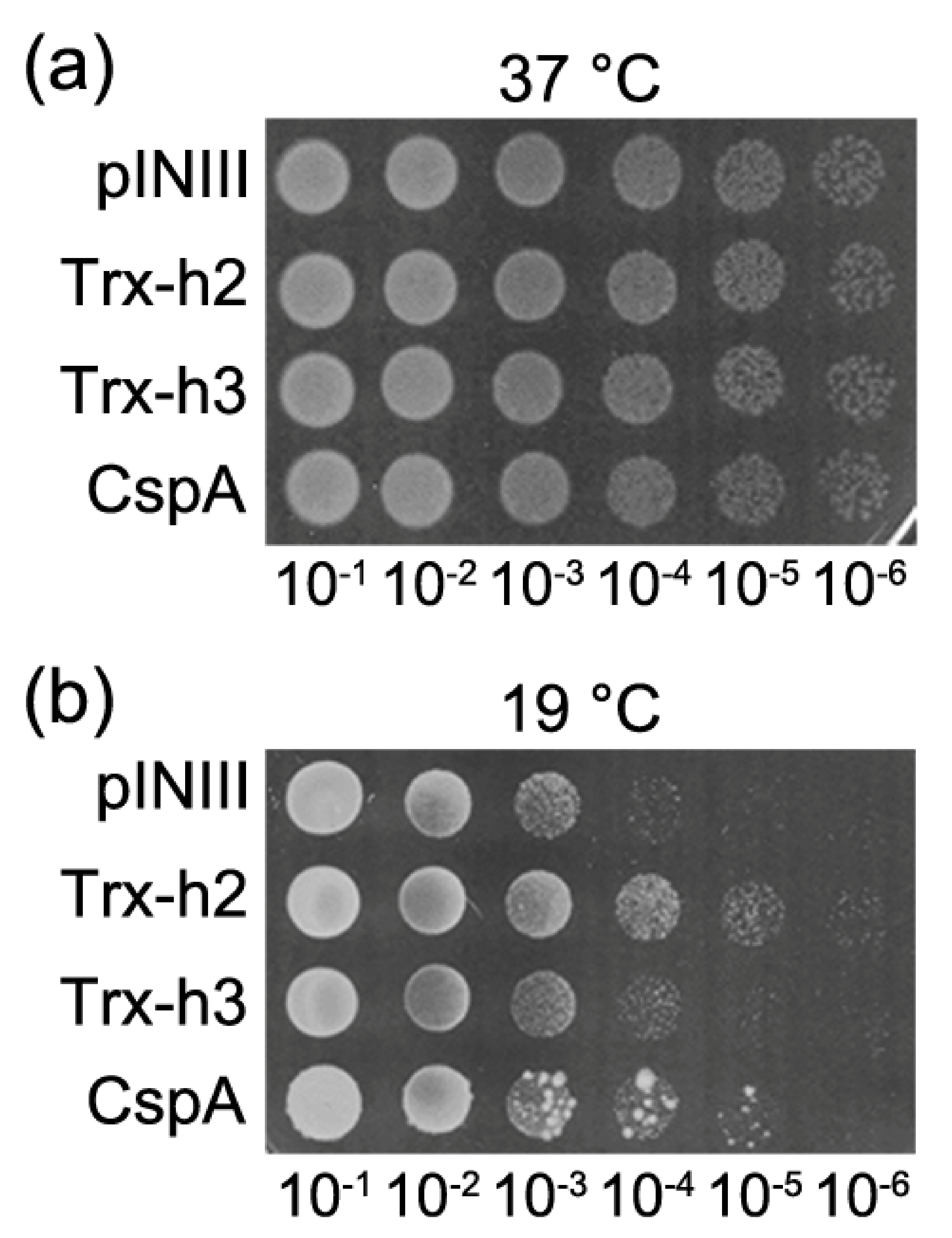 Applsci 11 06865 g004 550