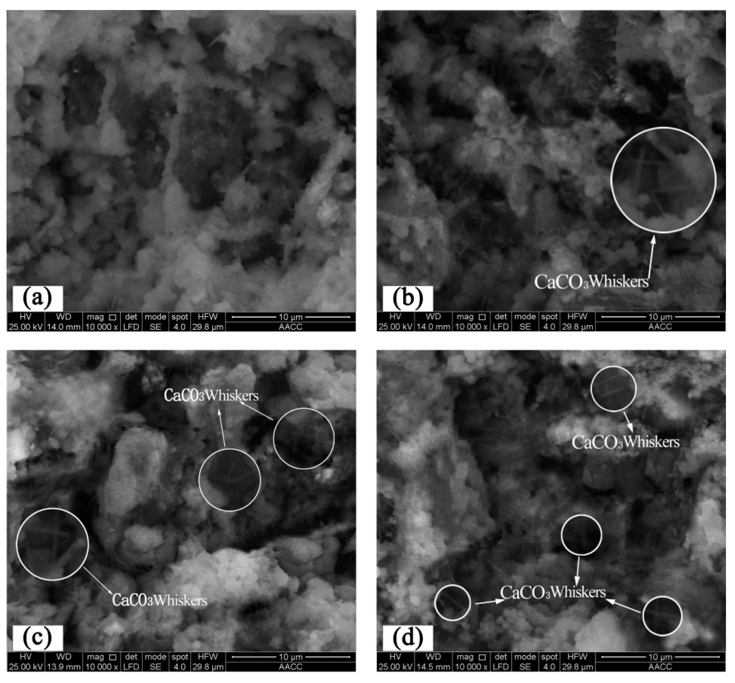 Applsci 11 06877 g012 550