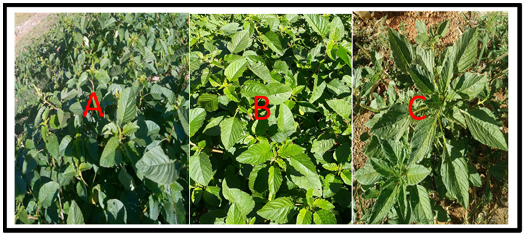 Applsci 11 06879 g002 550