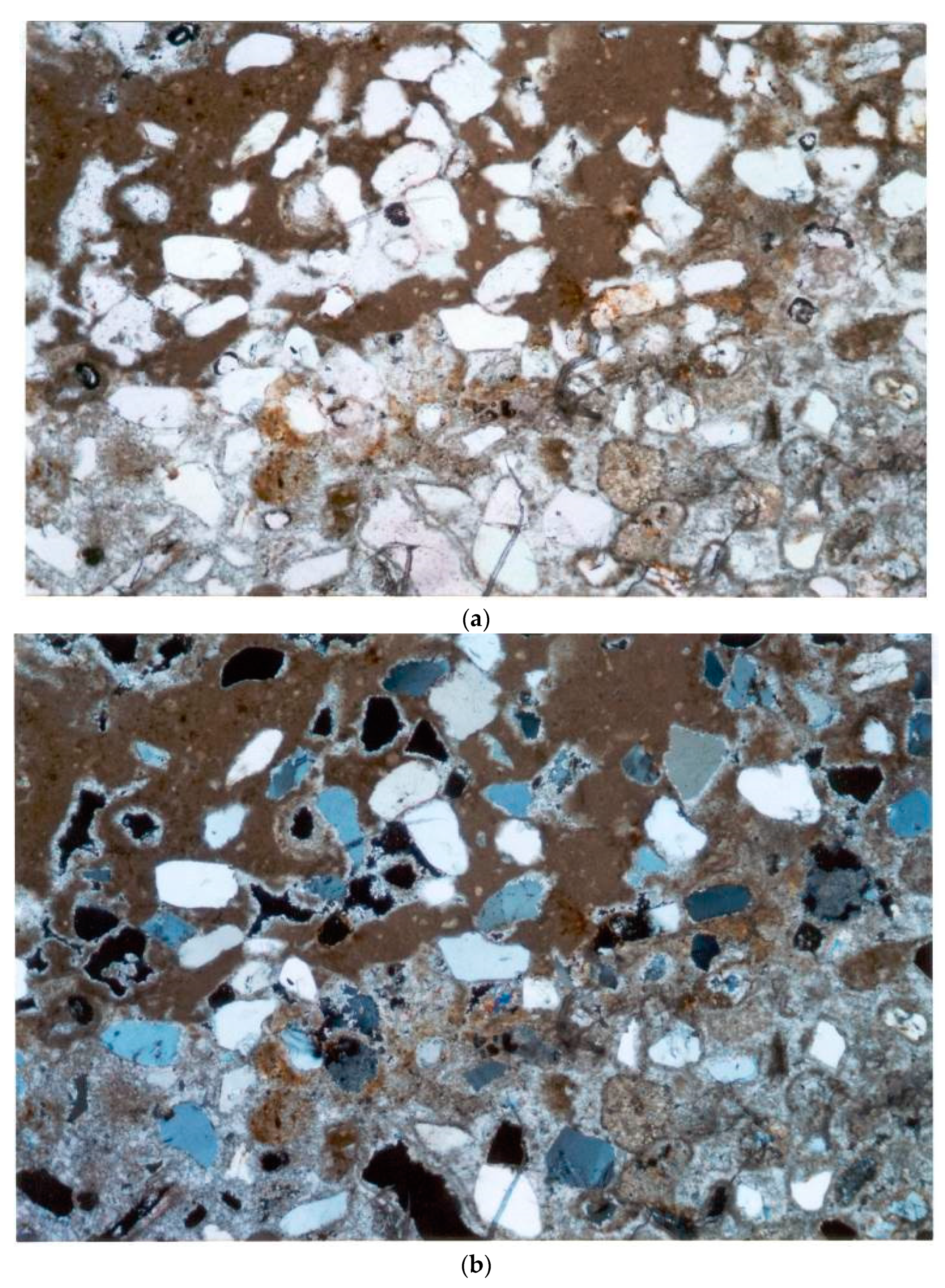 Applsci 11 06892 g012