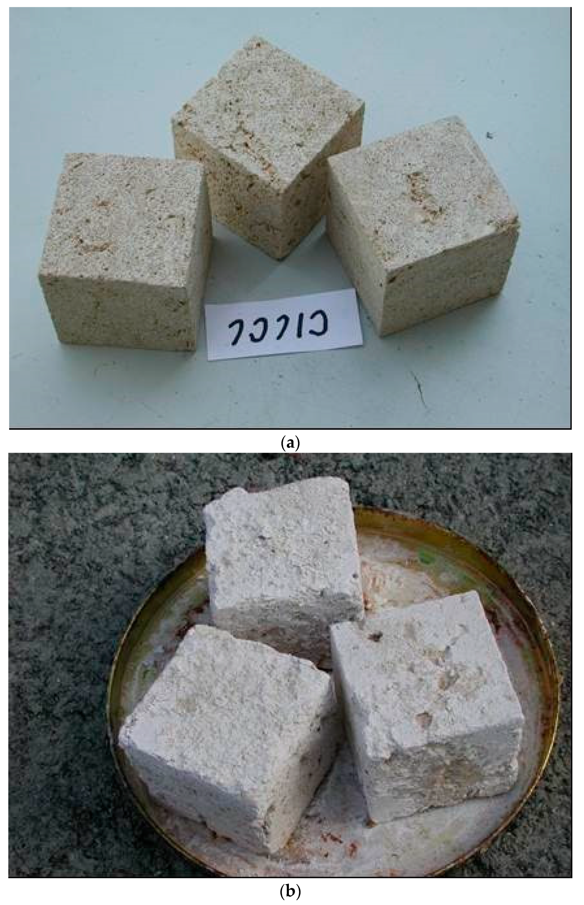 Applsci 11 06892 g013