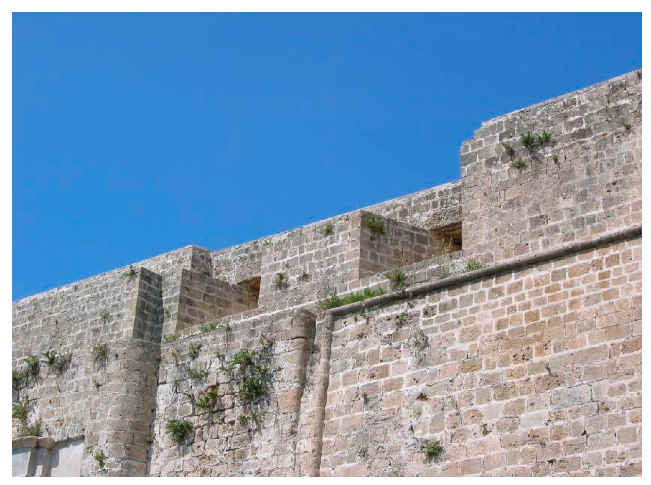 Applsci 11 06892 g015