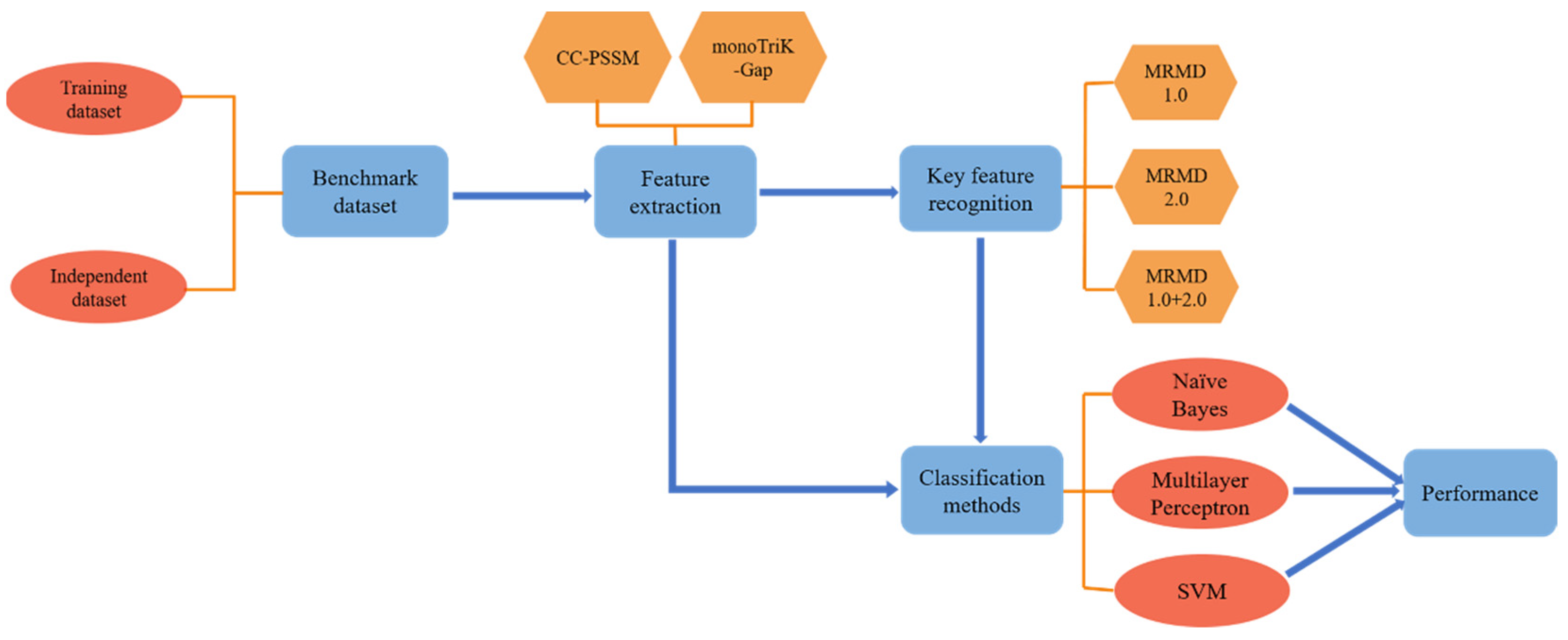 Applsci 11 06894 g001