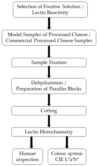 applied sciences free full text detection of carrageenan in cheese using lectin histochemistry html