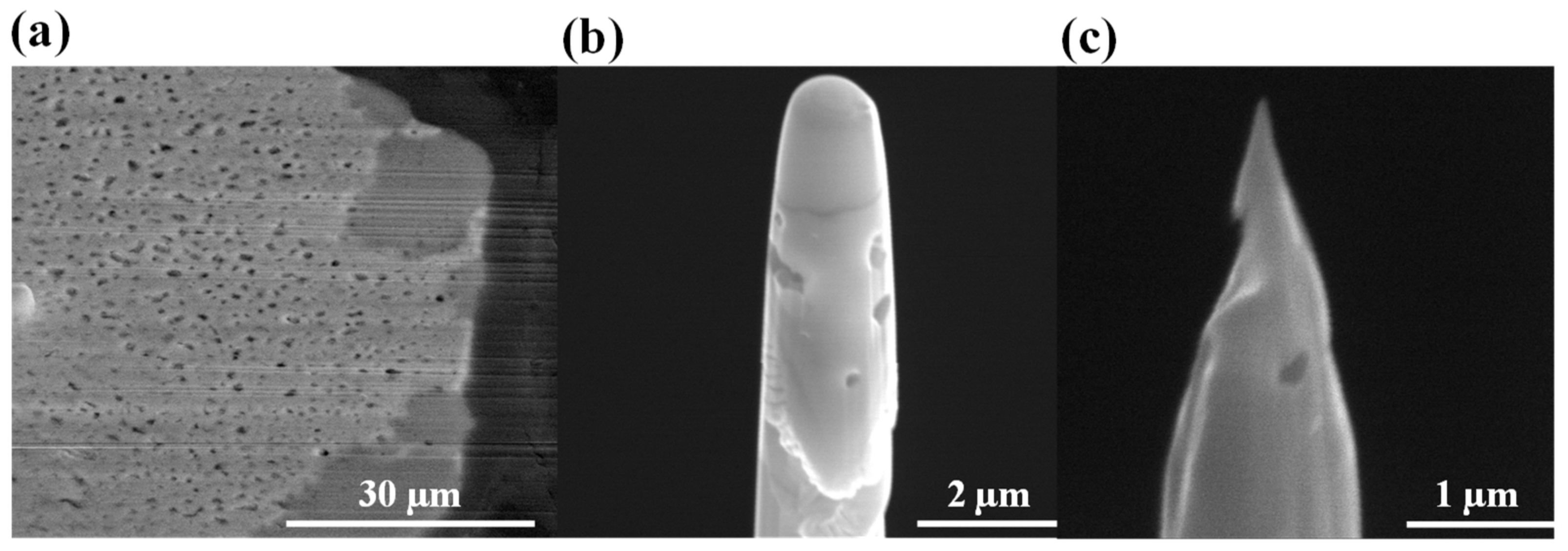 Applsci 11 06905 g008