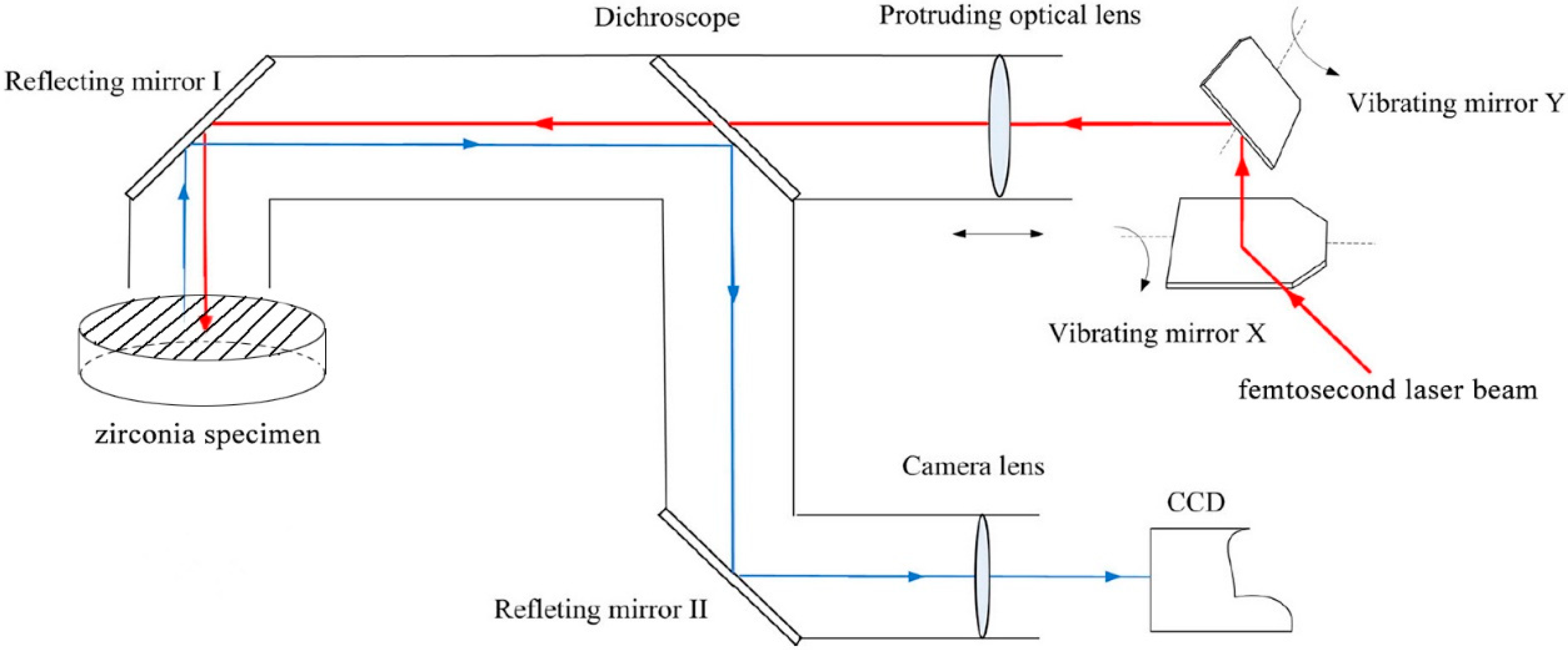 Applsci 11 06925 g001 550