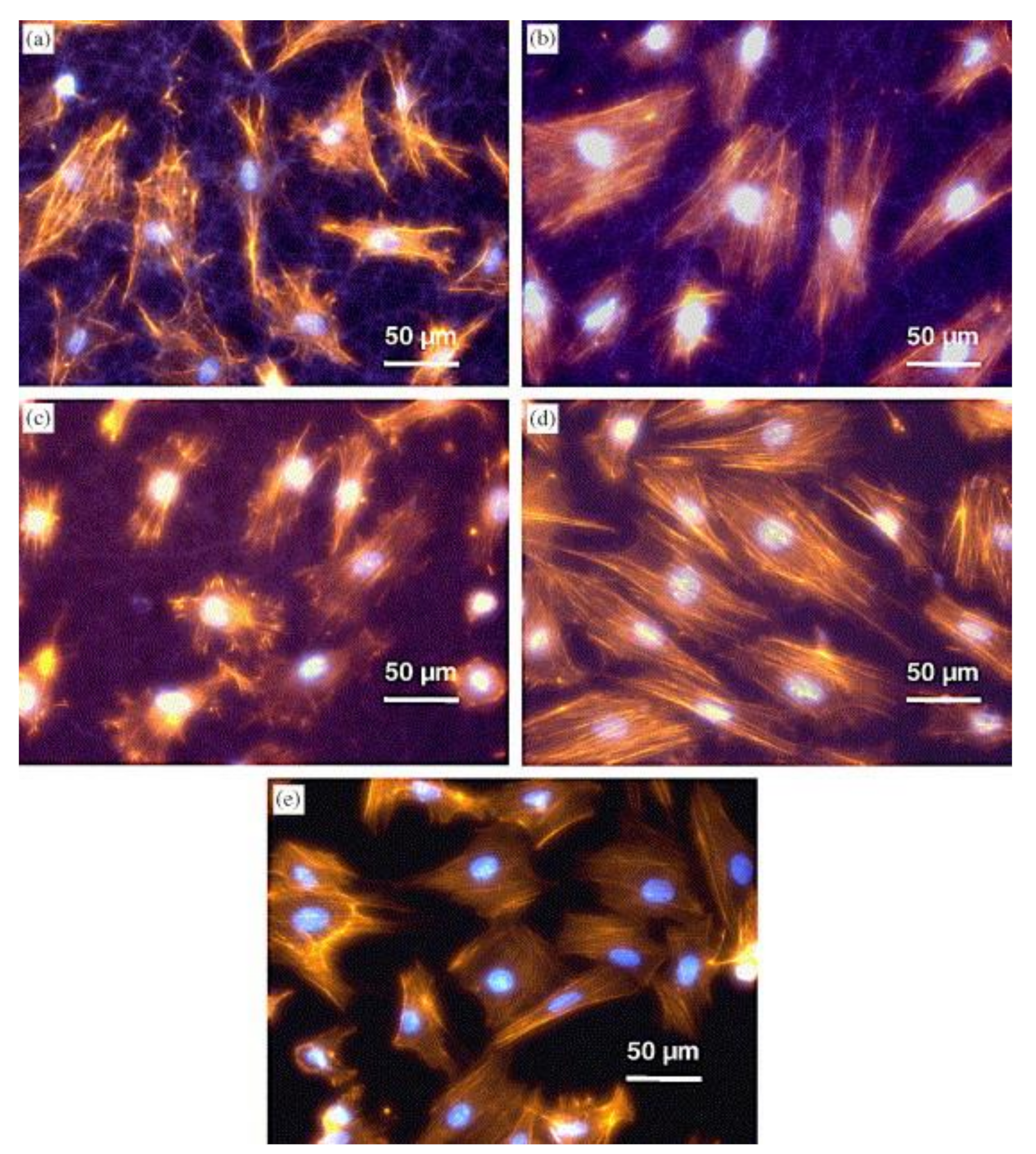 Recent Development on Transition Metal Oxides‐Based Core–Shell Structures  for Boosted Energy Density Supercapacitors - Malavekar - 2024 - Small -  Wiley Online Library