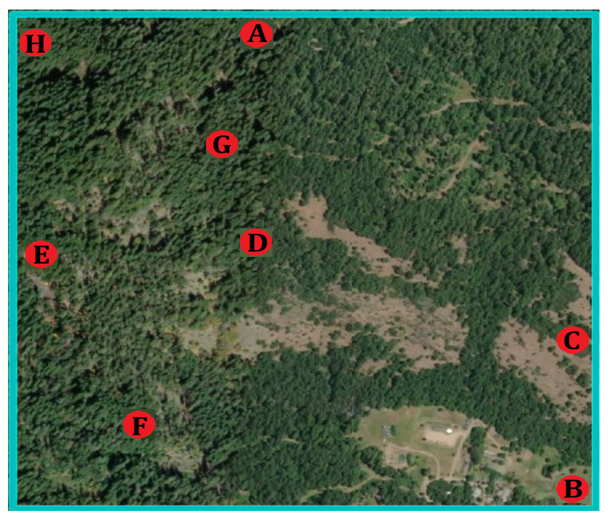 Applsci 11 06939 g005