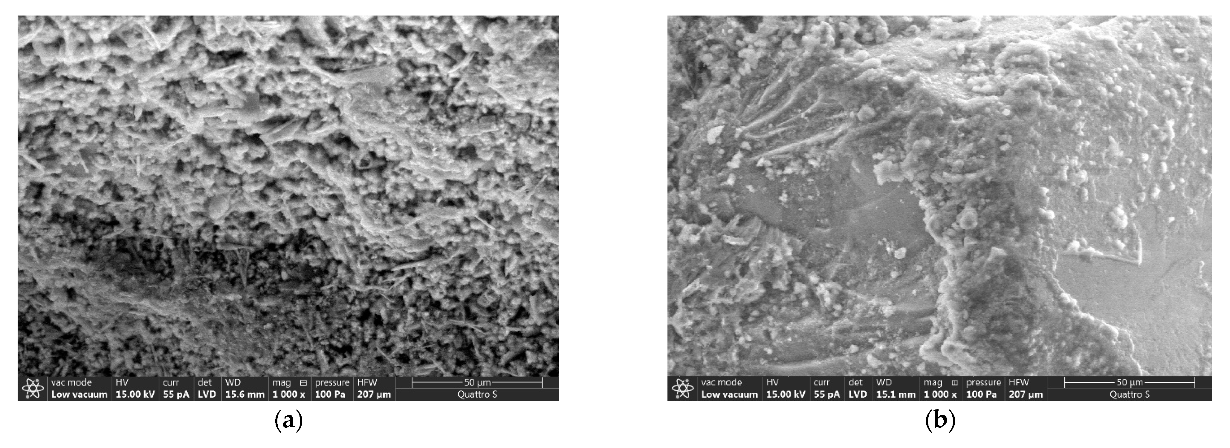 Applsci 11 06943 g006