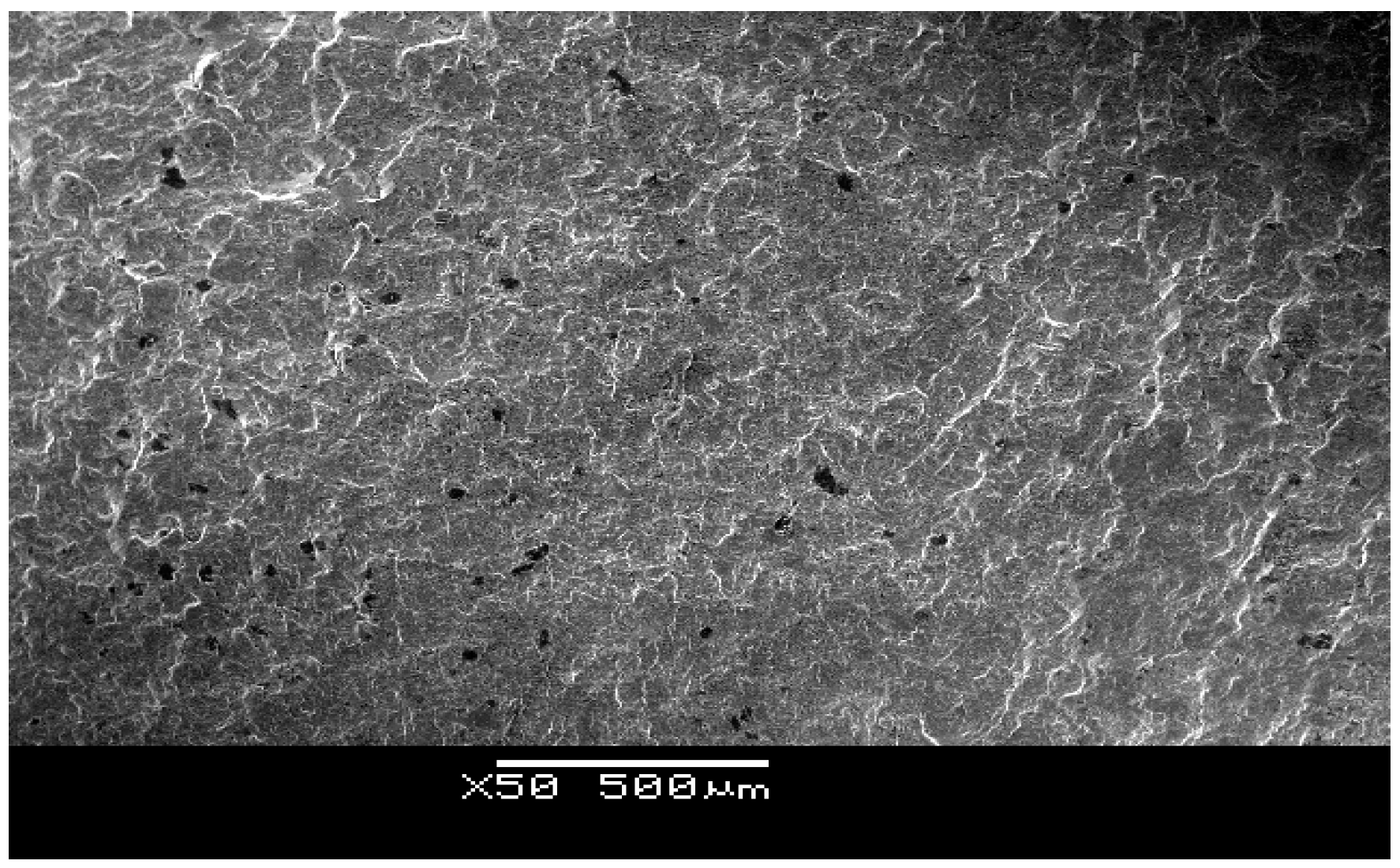 Applsci 11 06944 g005